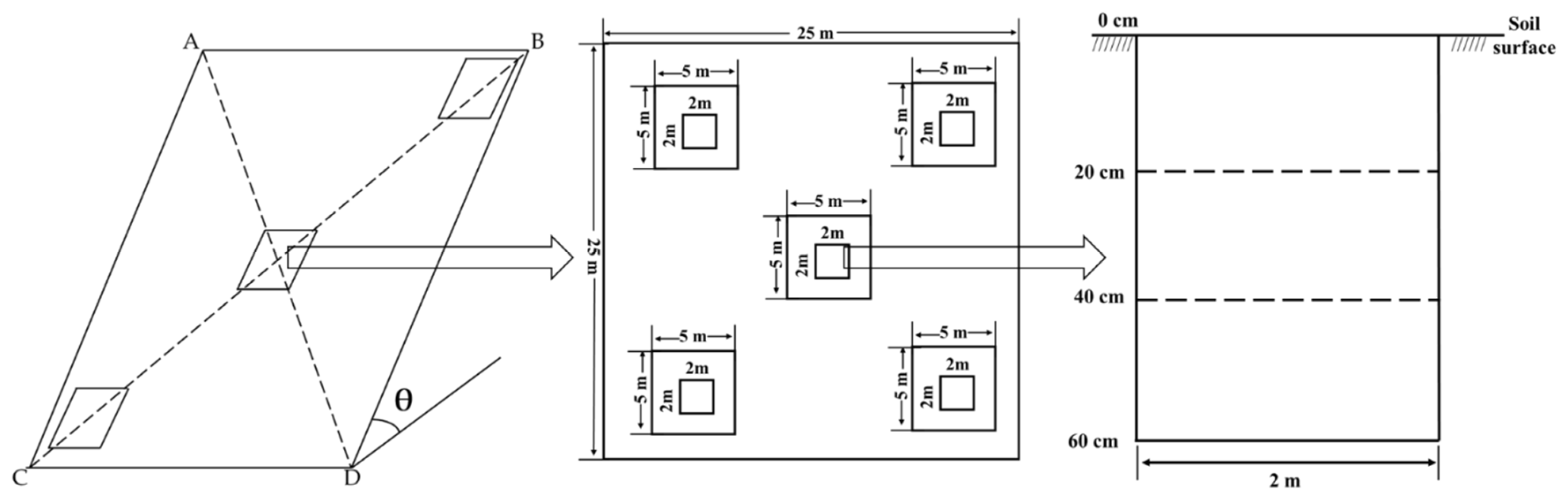 Diversity 14 00214 g002 Diversity 14 00214 g002