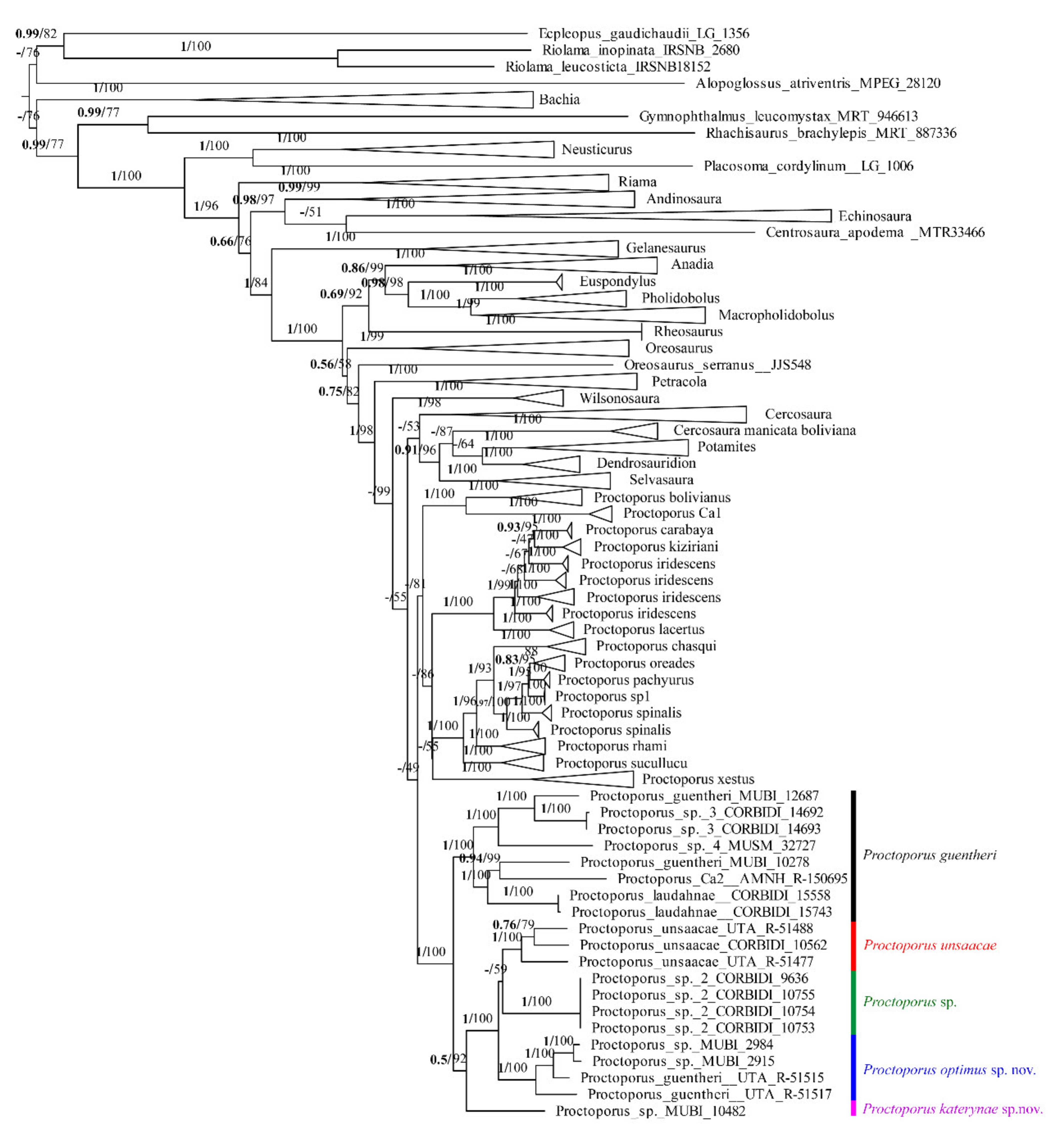 Diversity 14 00215 g002 Diversity 14 00215 g002
