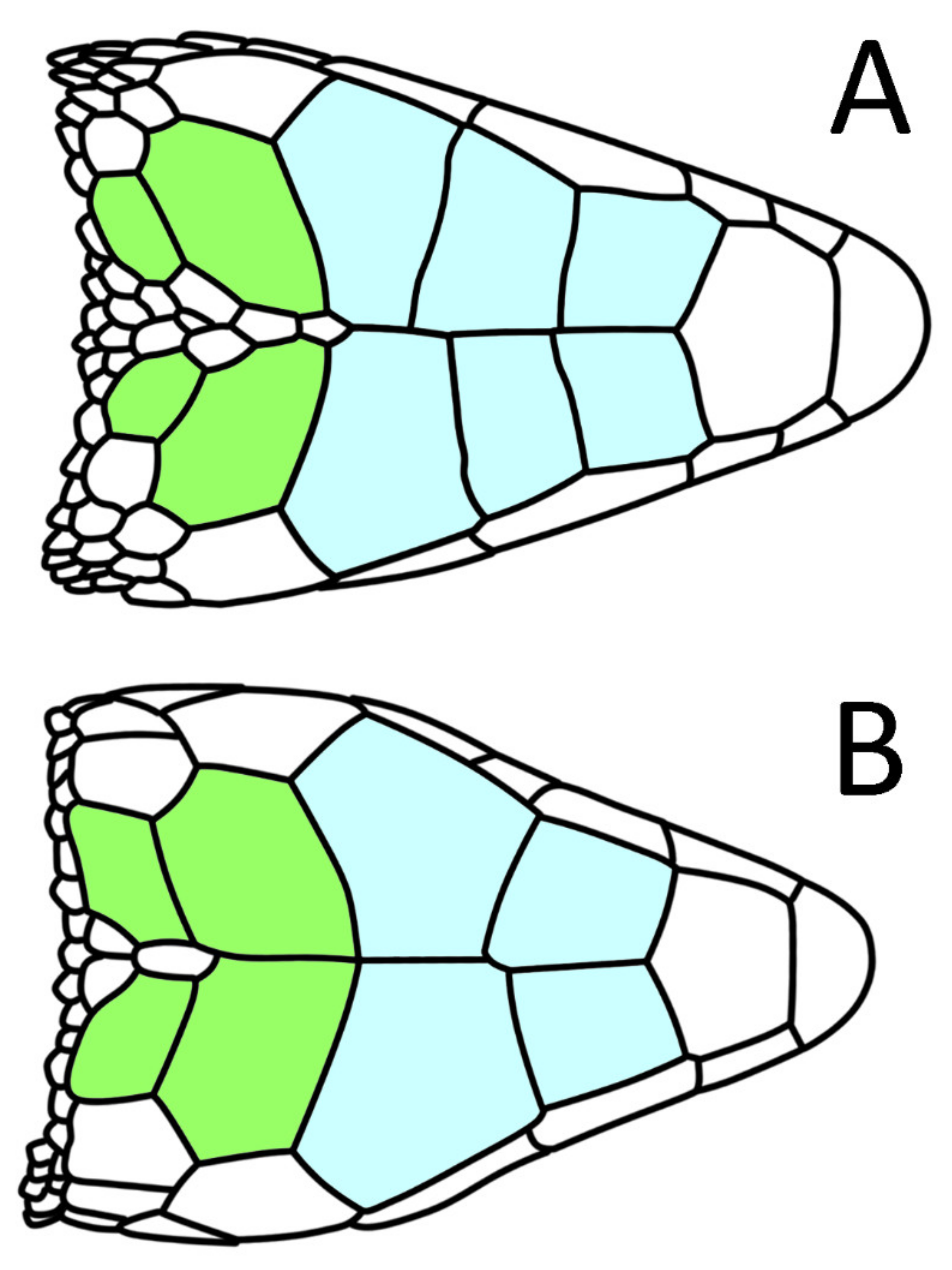 Diversity 14 00215 g009 Diversity 14 00215 g009