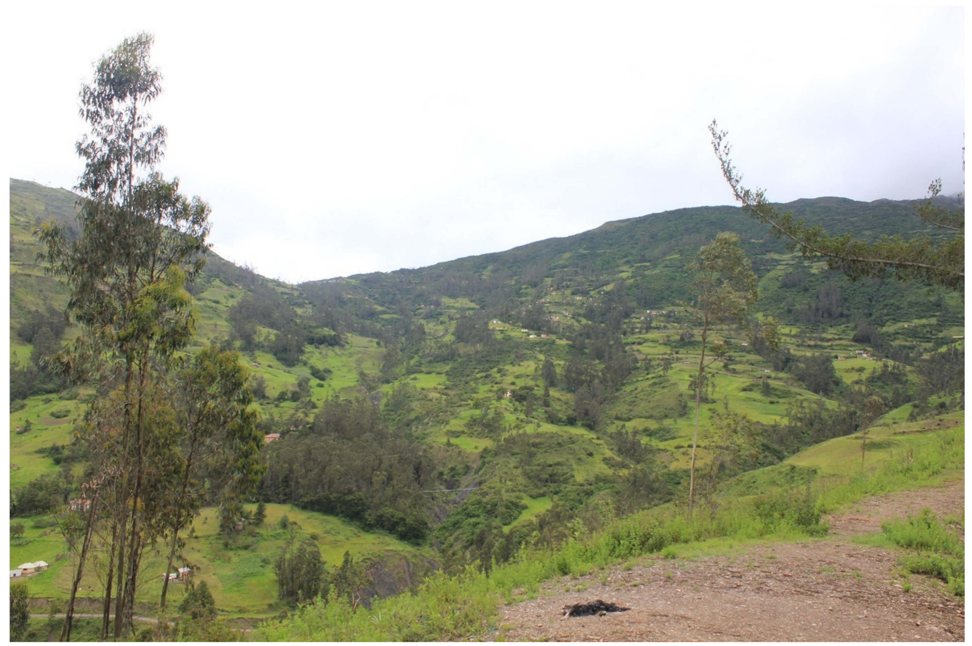 Diversity 14 00215 g010 Diversity 14 00215 g010