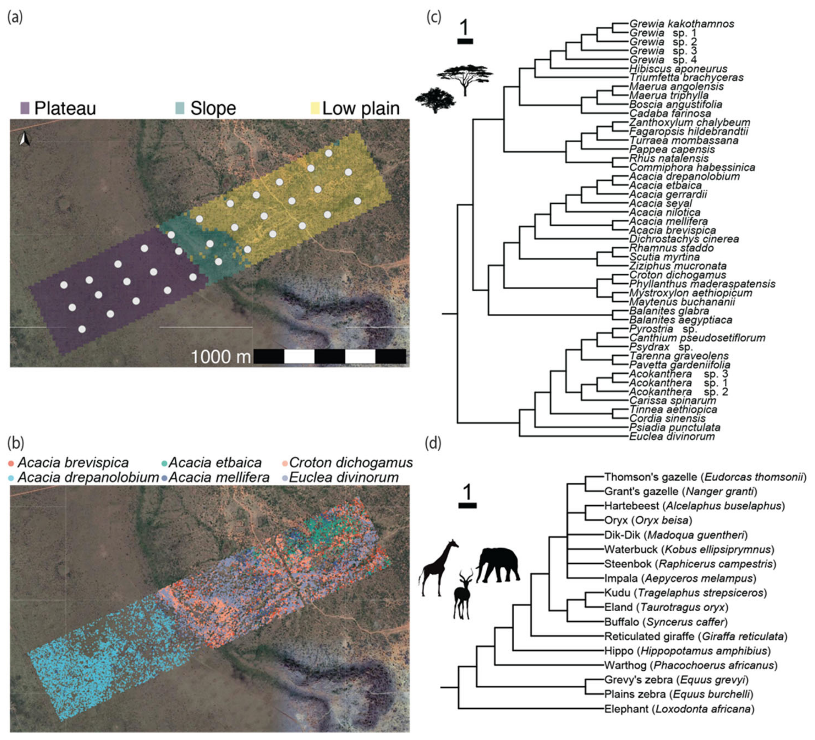 Diversity 14 00219 g001