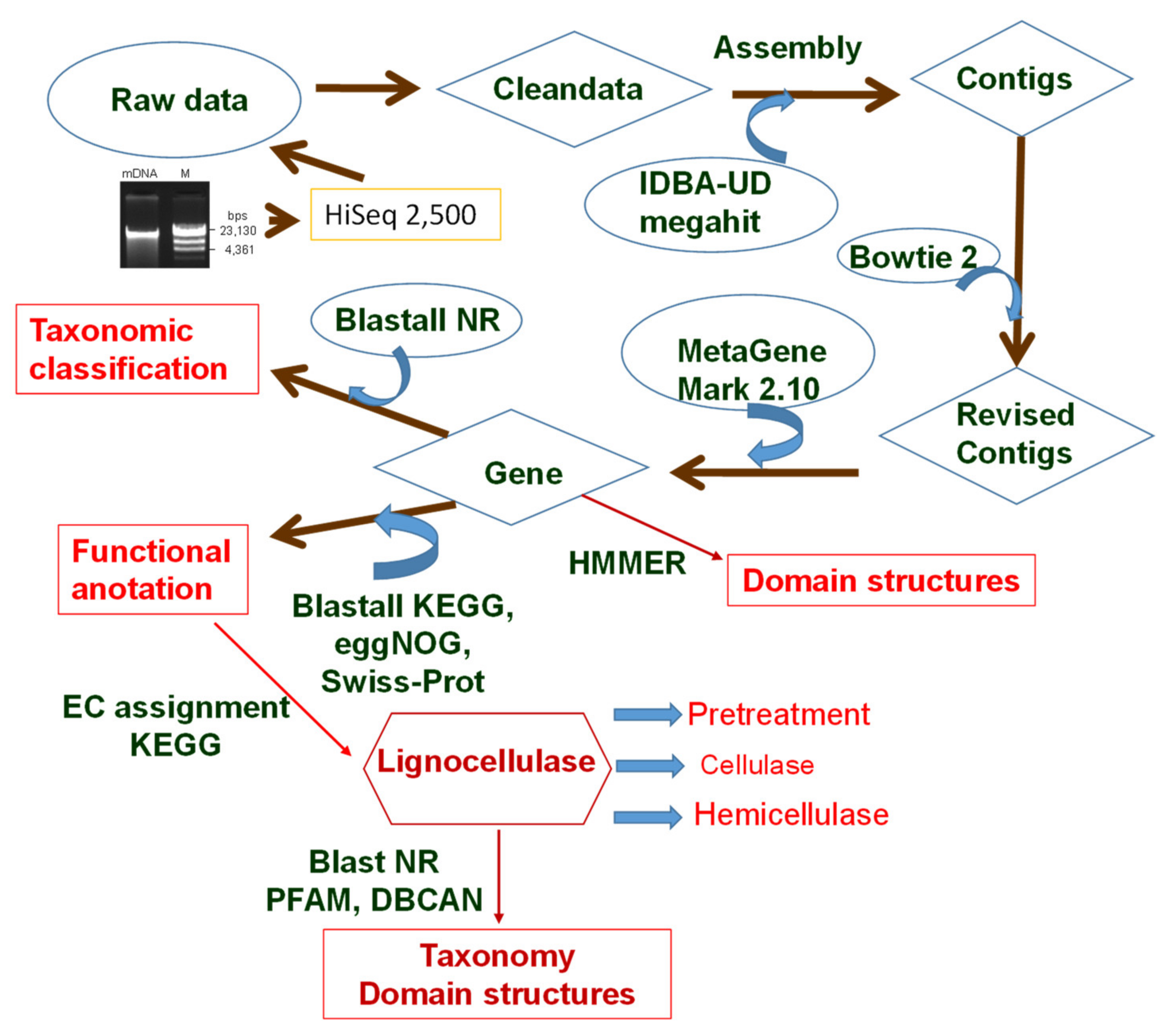 Diversity 14 00220 g002