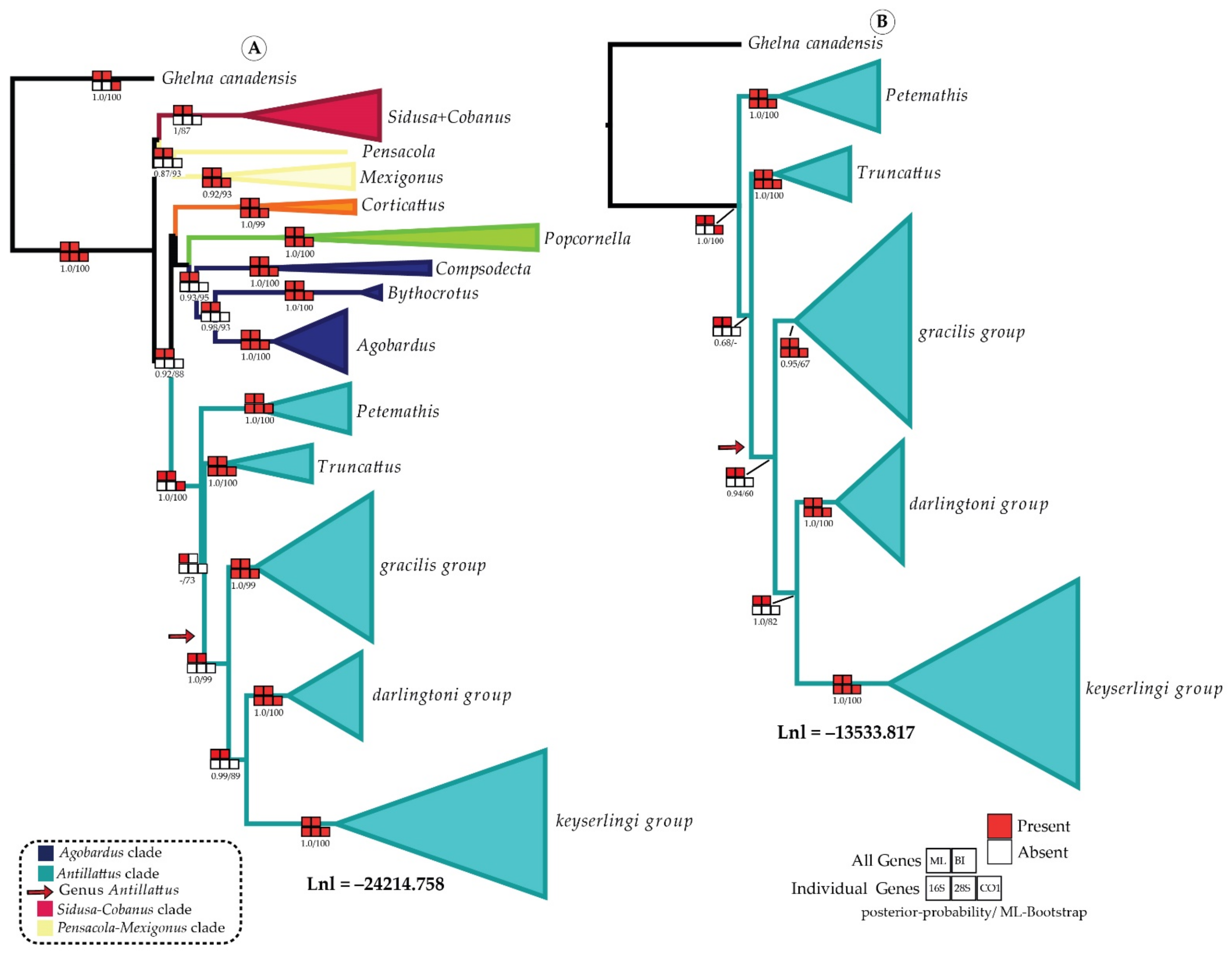 Diversity 14 00224 g004 Diversity 14 00224 g004