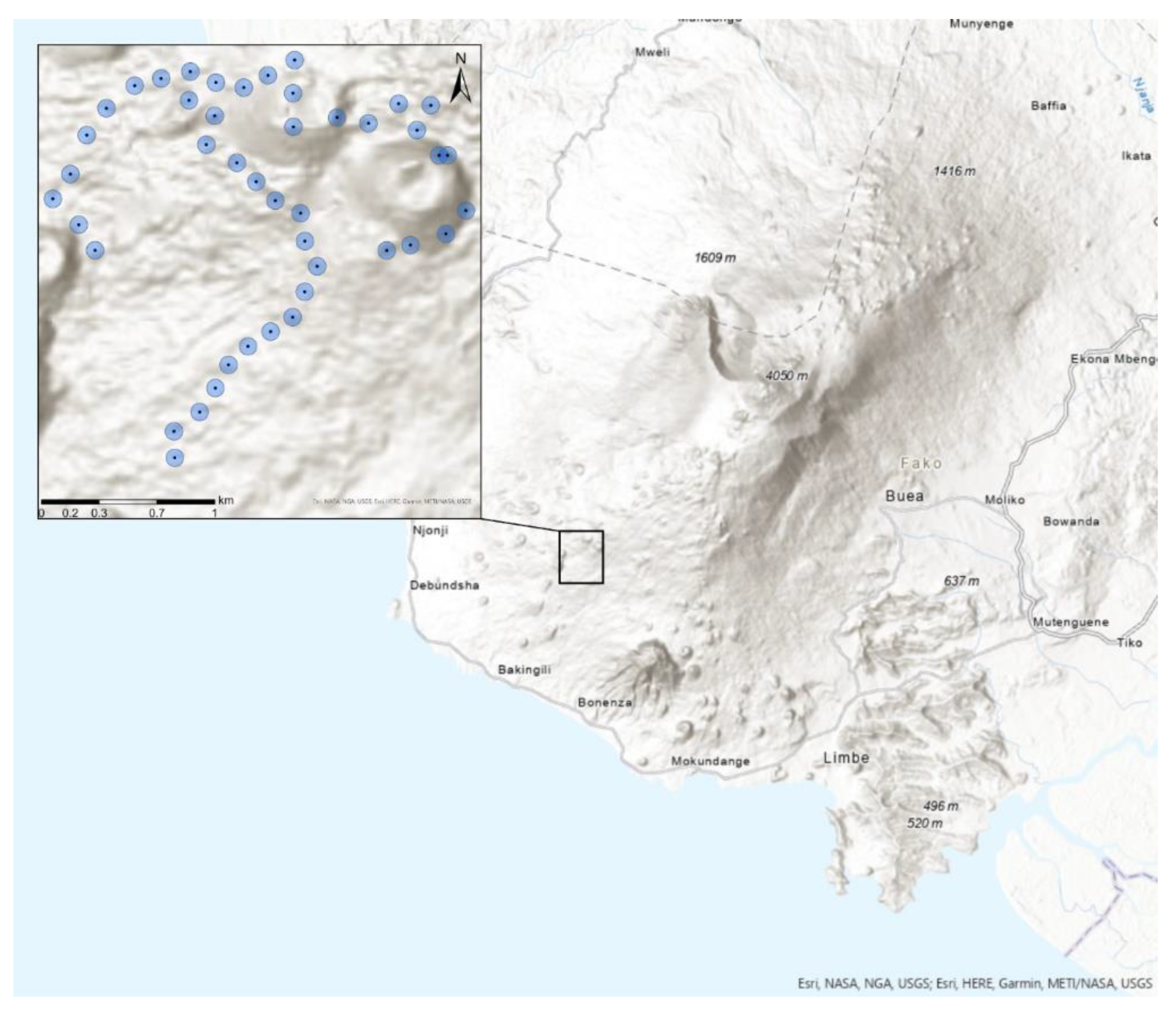 Diversity 14 00227 g001 550