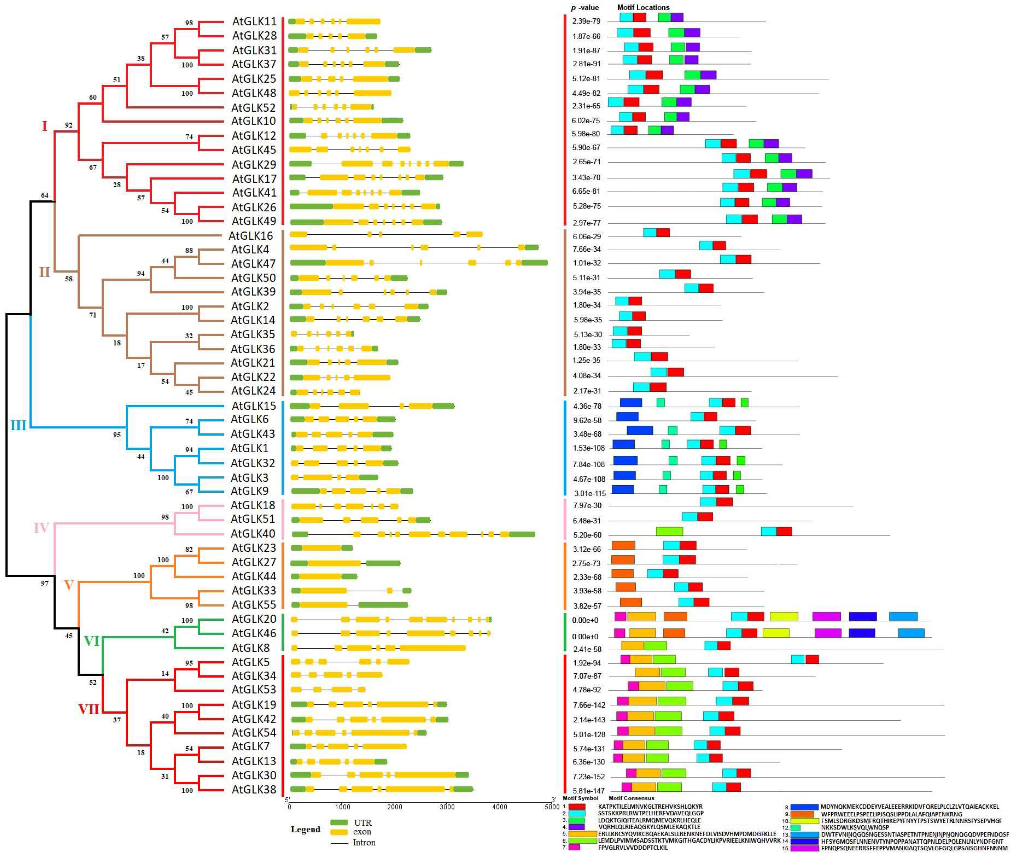 Diversity 14 00228 g001 550
