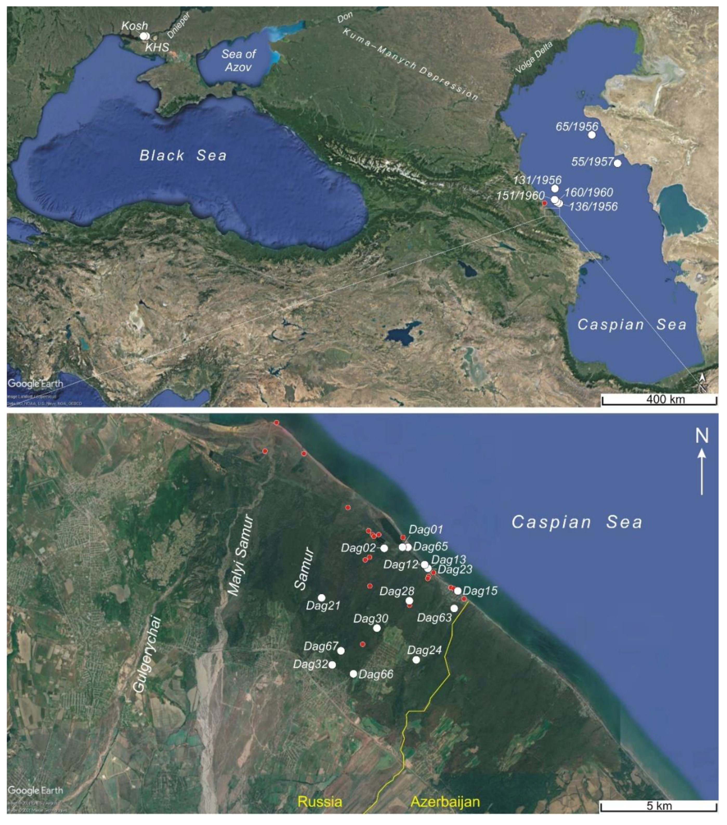 Diversity 14 00232 g001