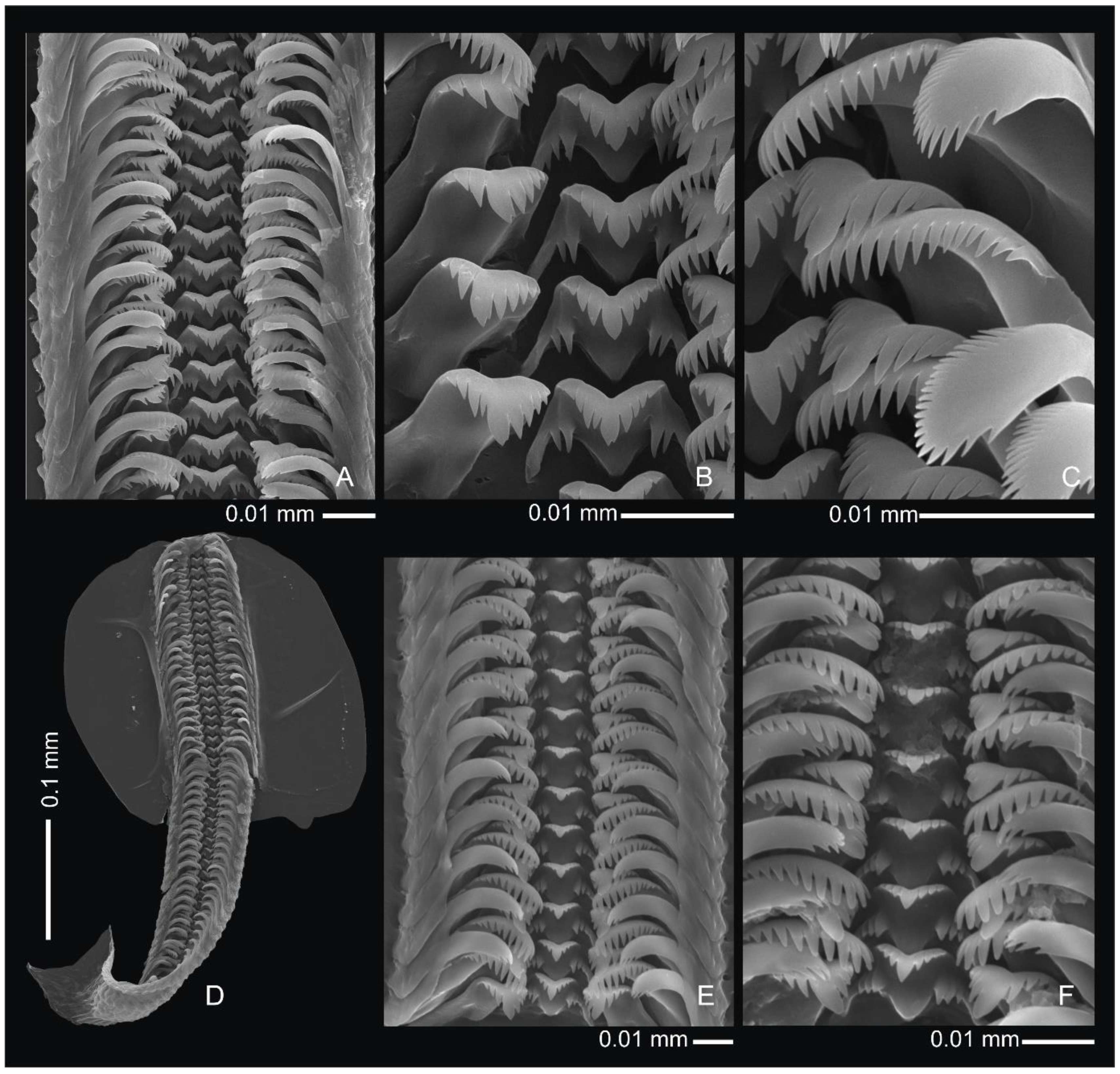 Diversity 14 00232 g008