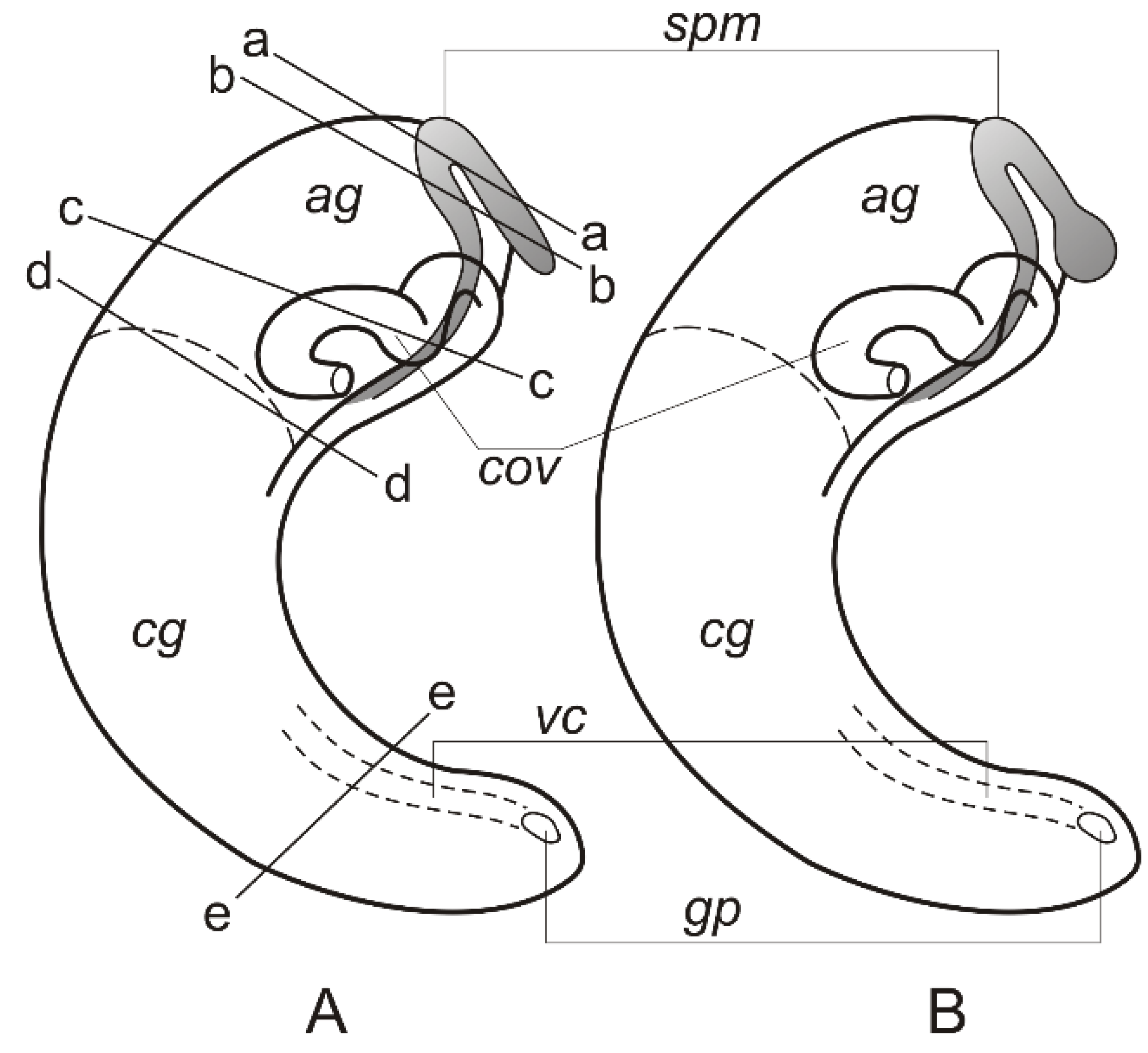 Diversity 14 00232 g010