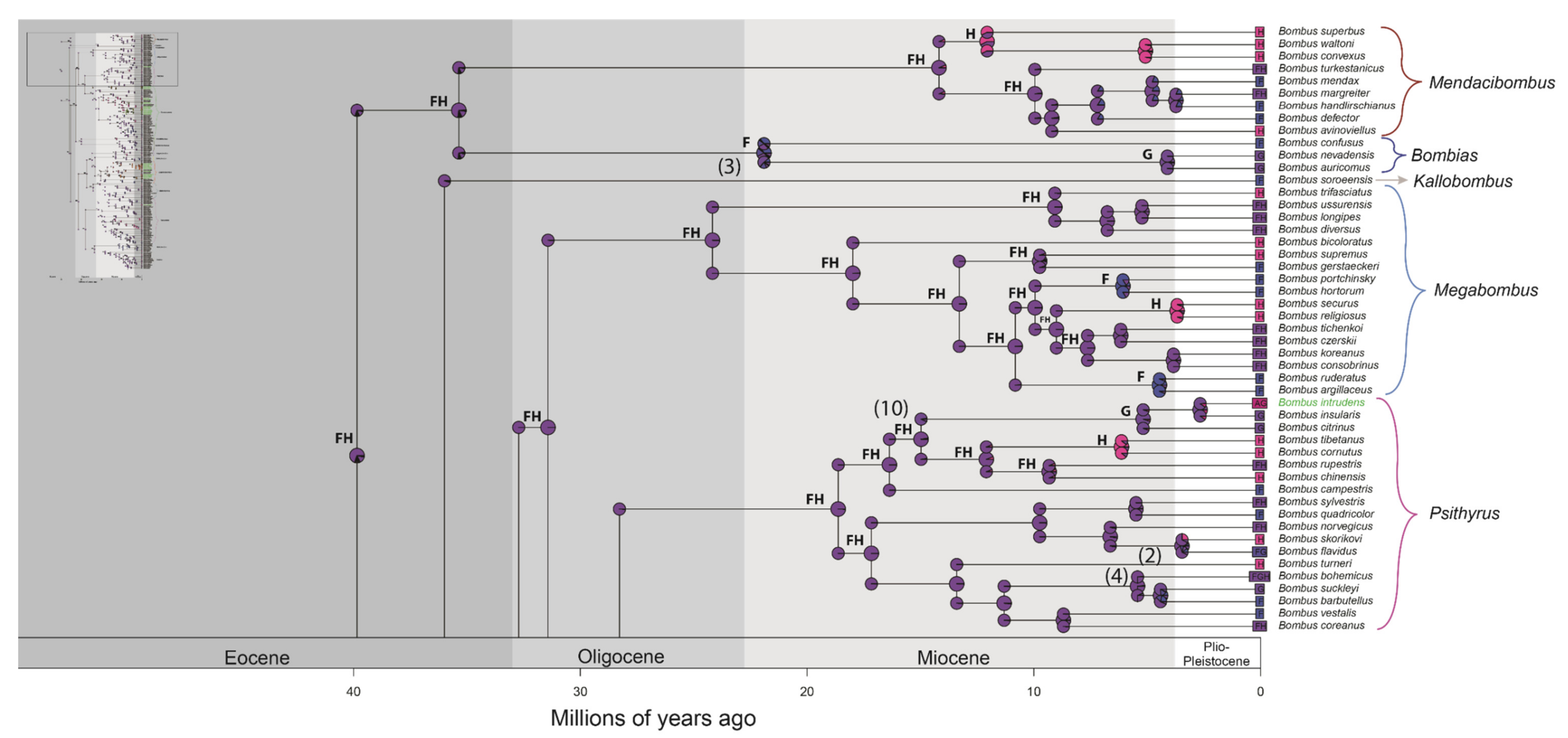 Diversity 14 00238 g002a Diversity 14 00238 g002a
