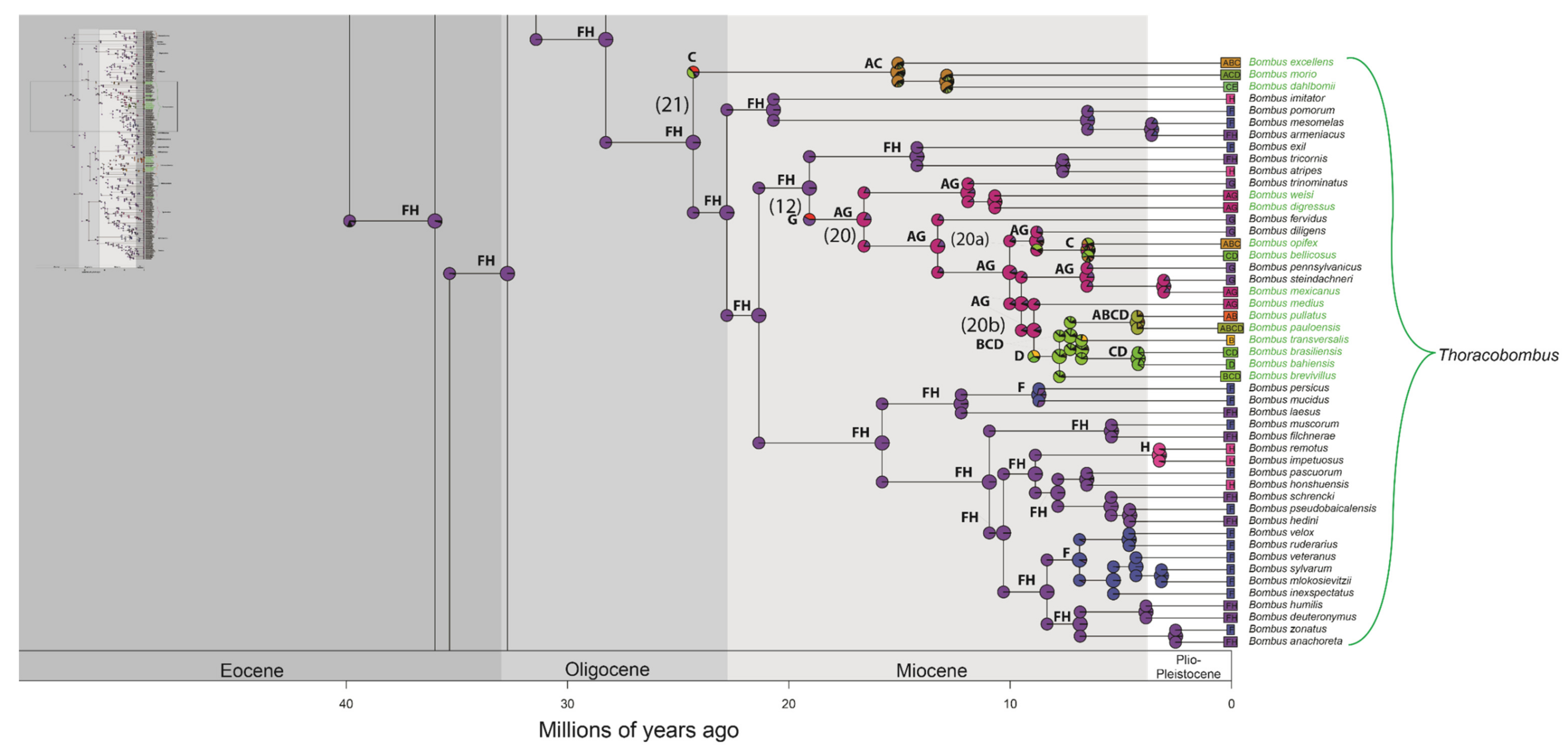 Diversity 14 00238 g002b Diversity 14 00238 g002b