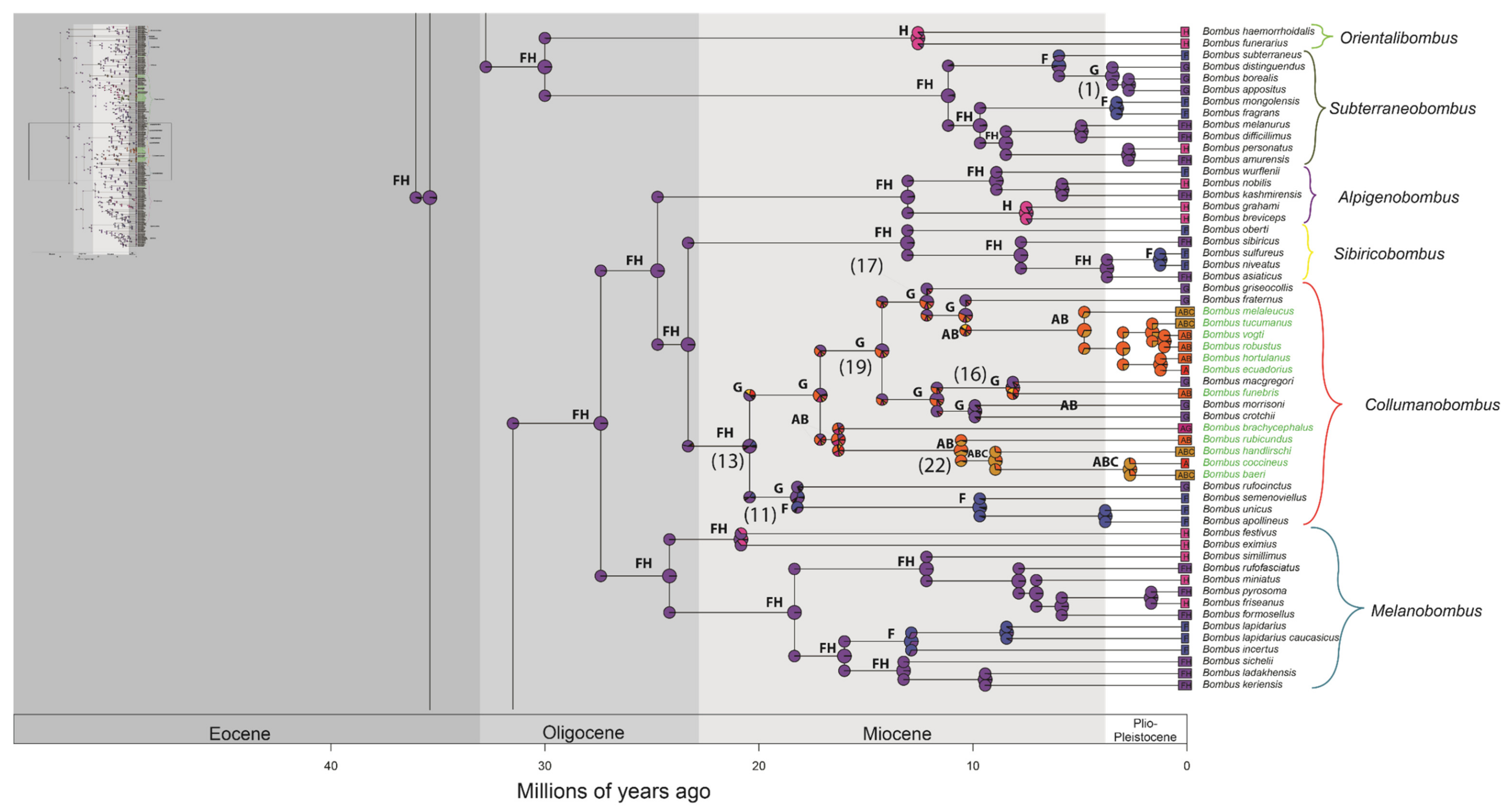 Diversity 14 00238 g002c Diversity 14 00238 g002c