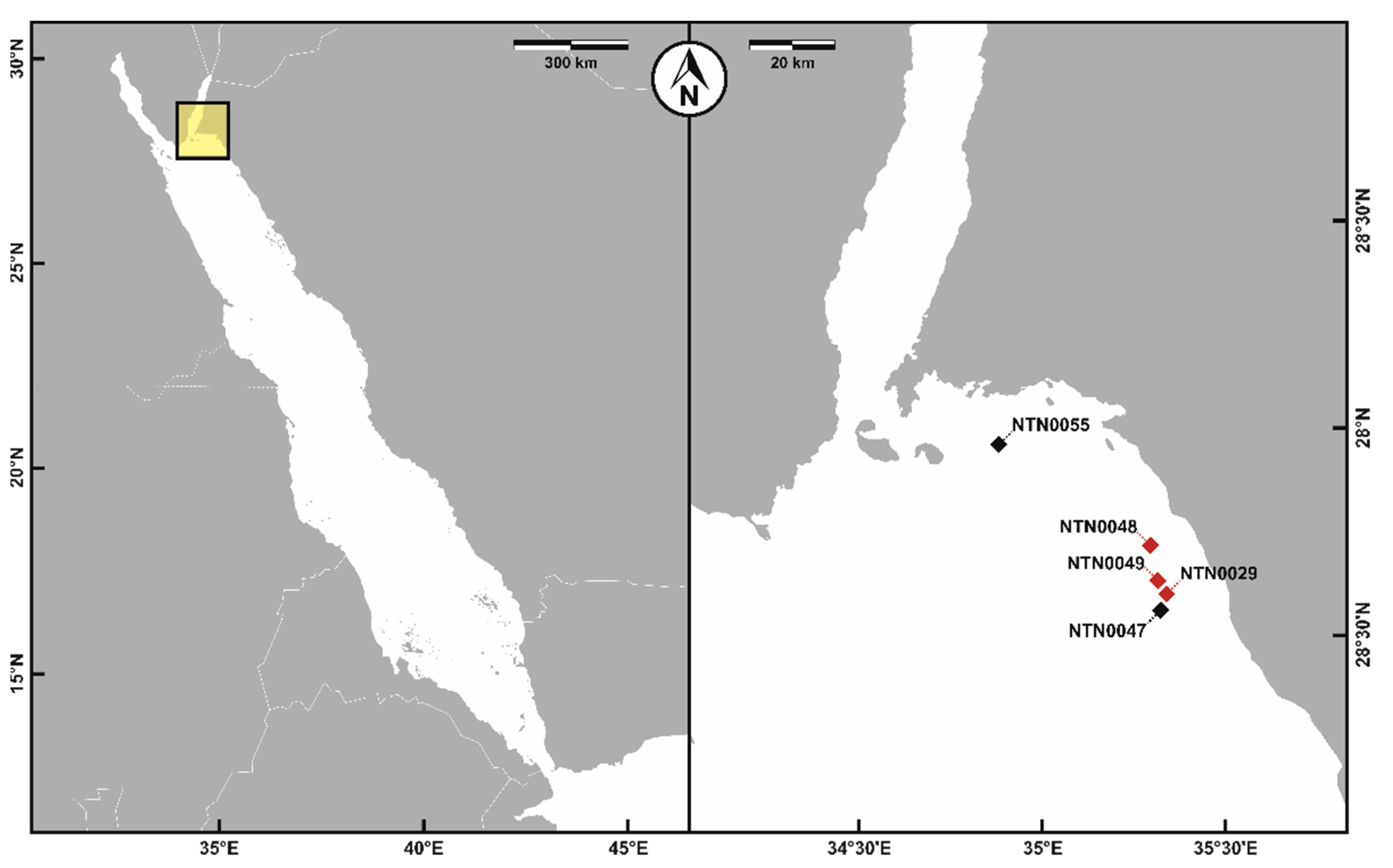 Diversity 14 00241 g001 Diversity 14 00241 g001