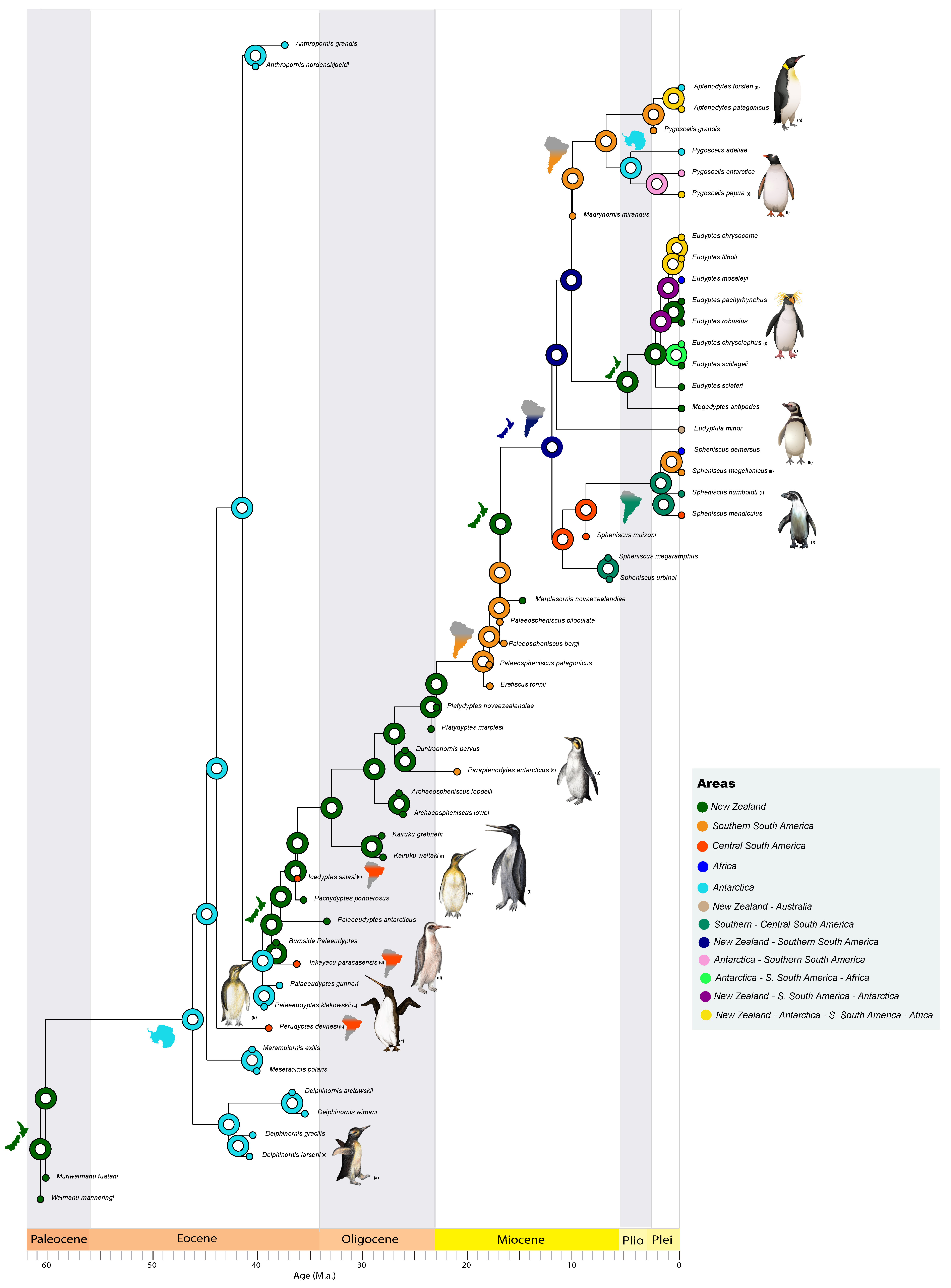 Diversity 14 00255 g002