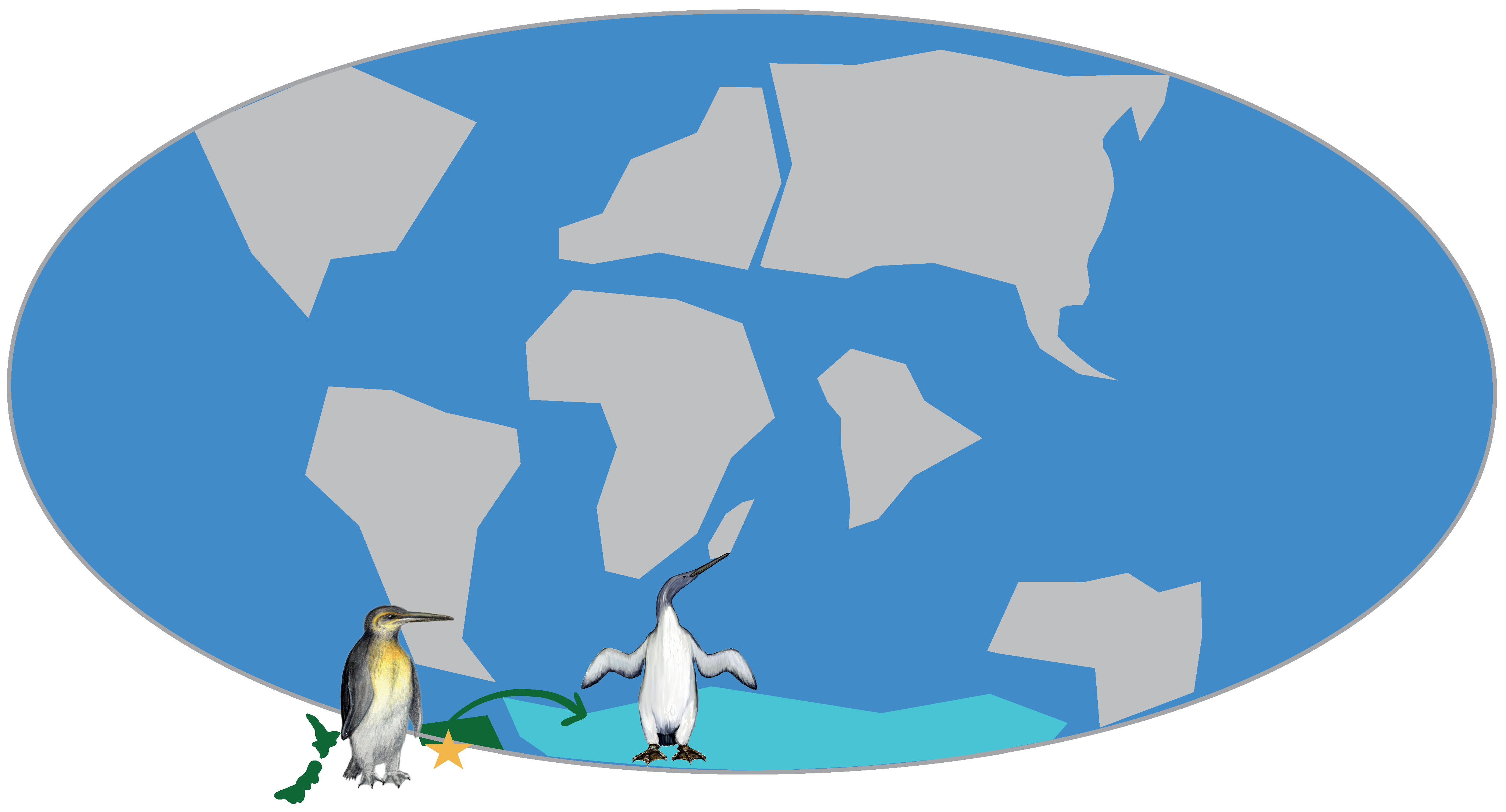 Diversity 14 00255 g003