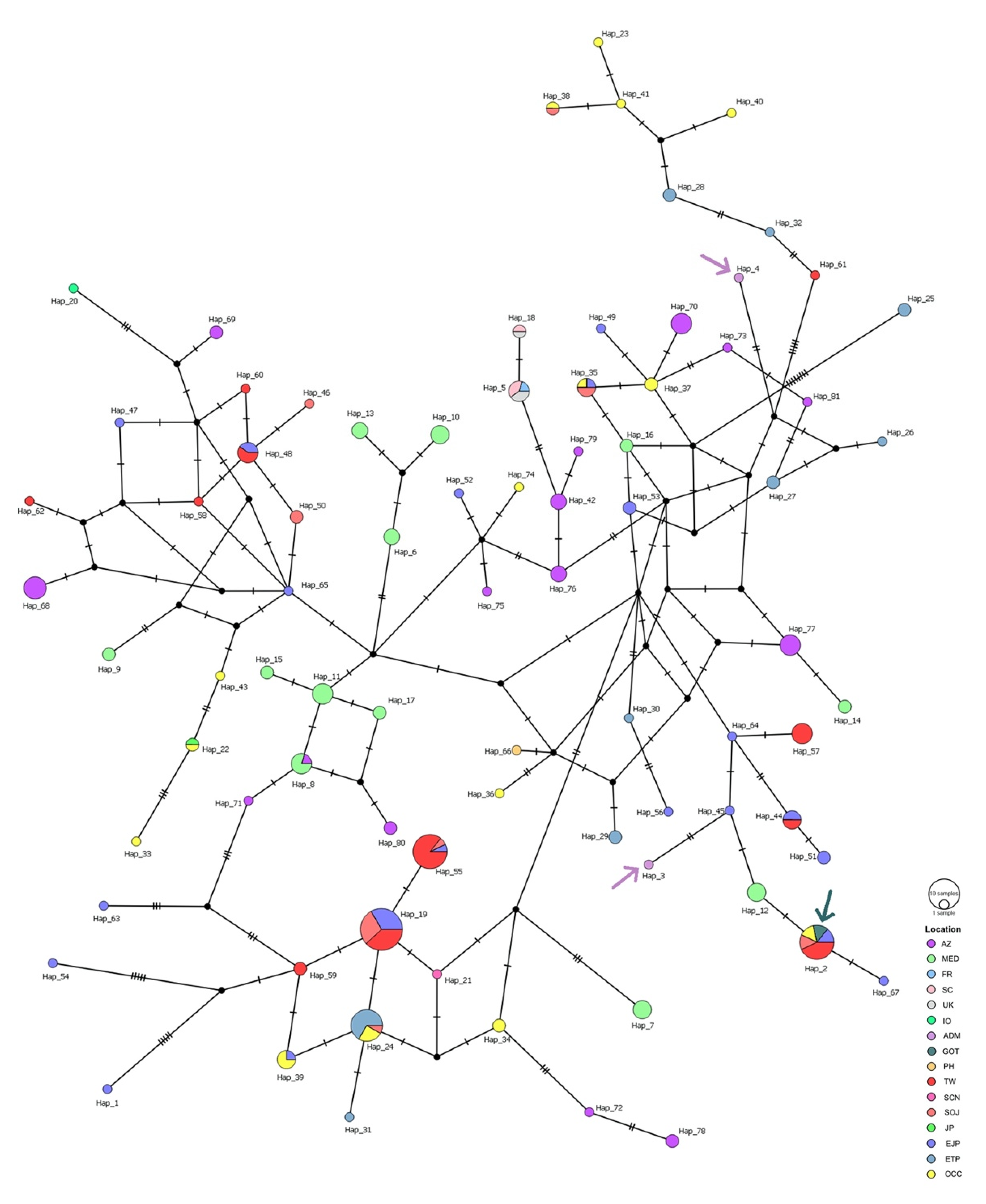 Diversity 14 00257 g003