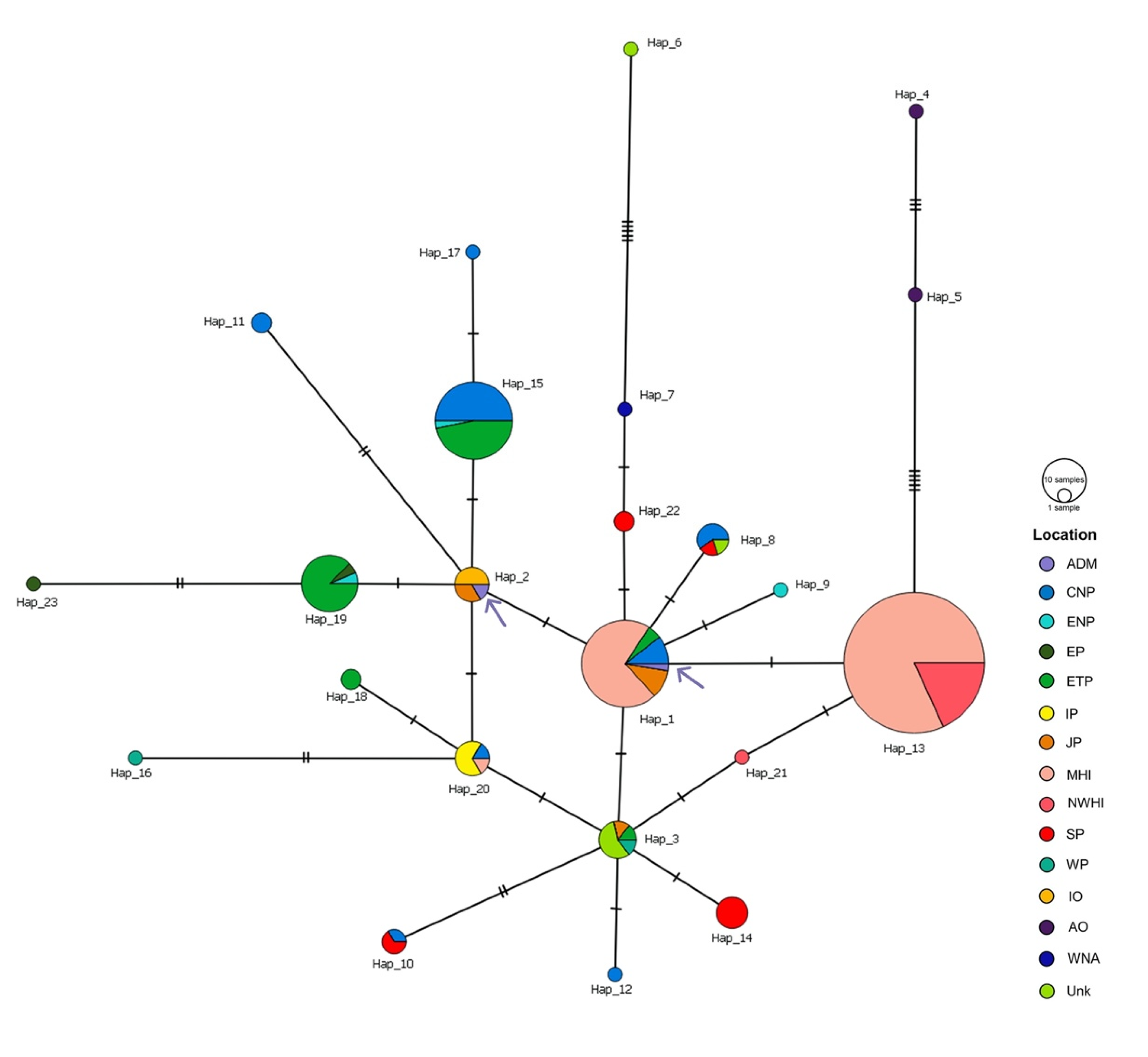 Diversity 14 00257 g004