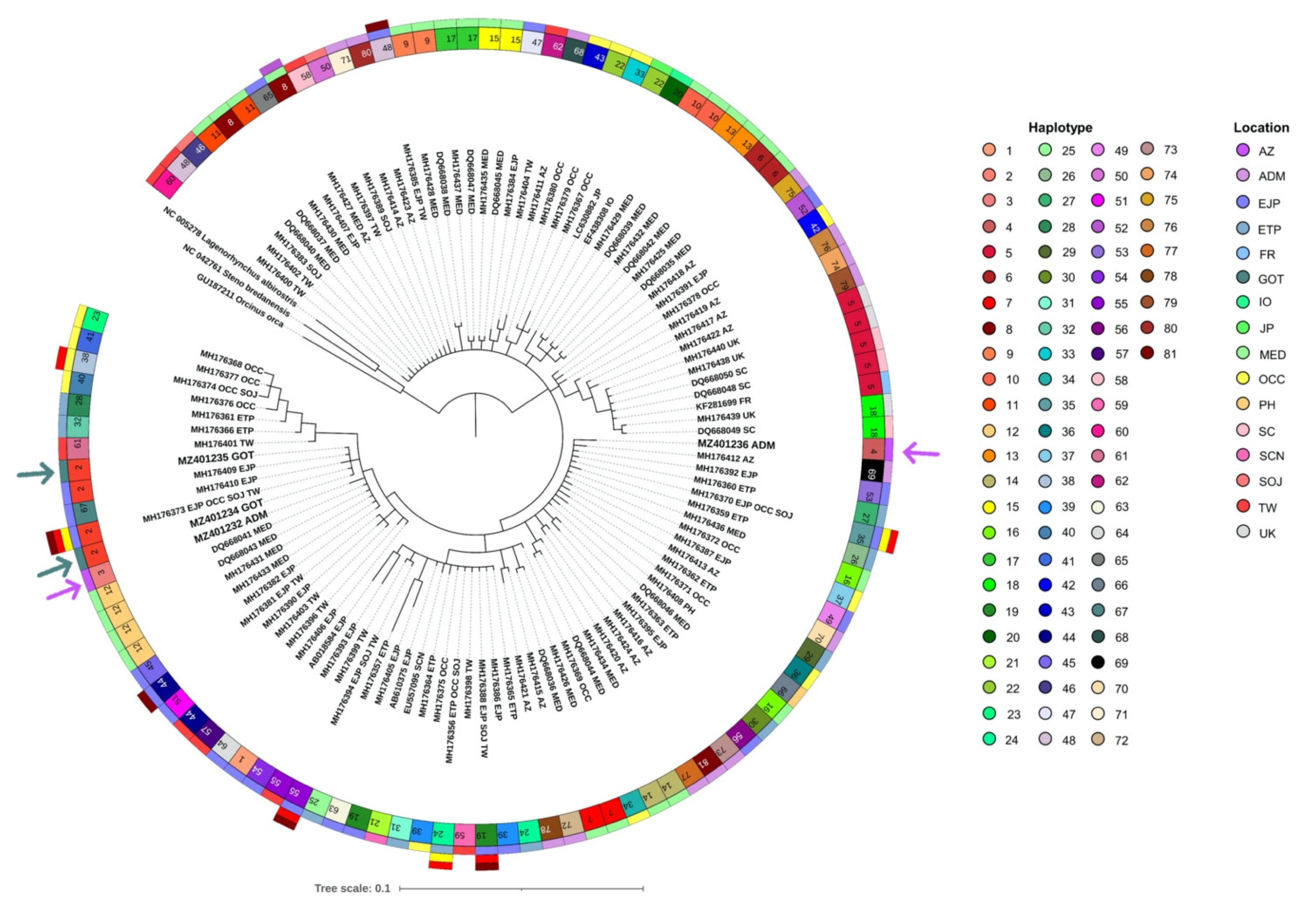 Diversity 14 00257 g005
