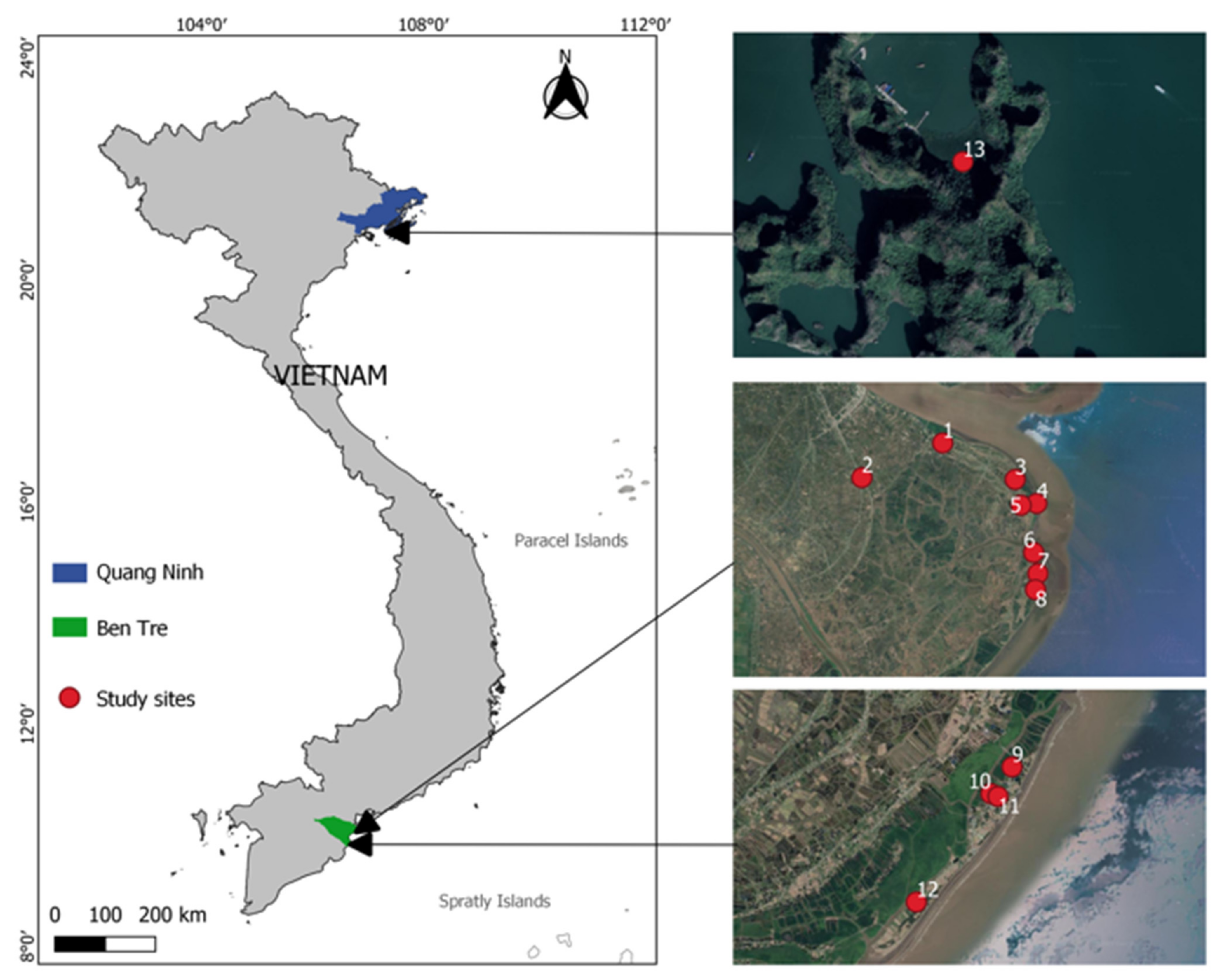 Diversity 14 00258 g001 550