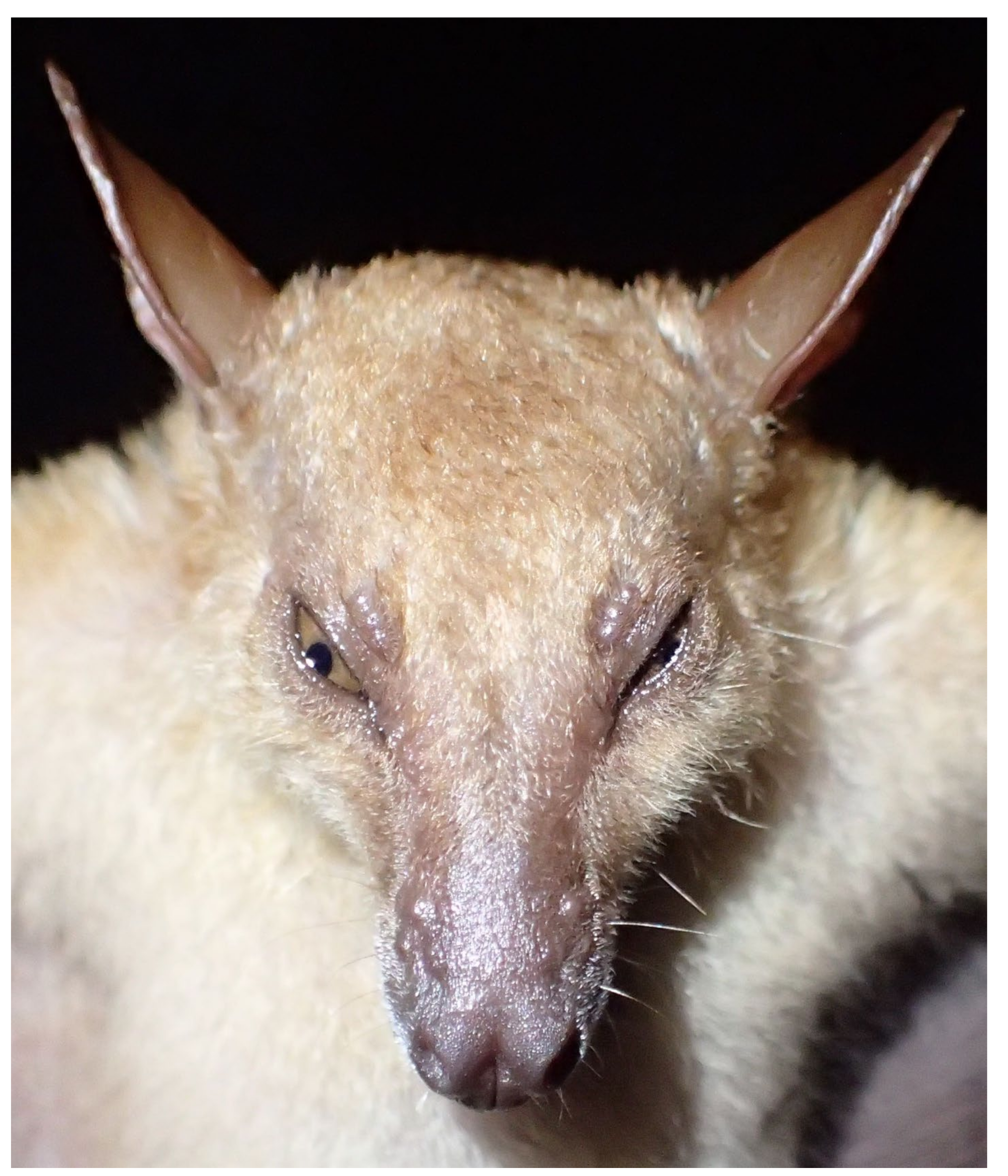 Diversity 14 00258 g008 550