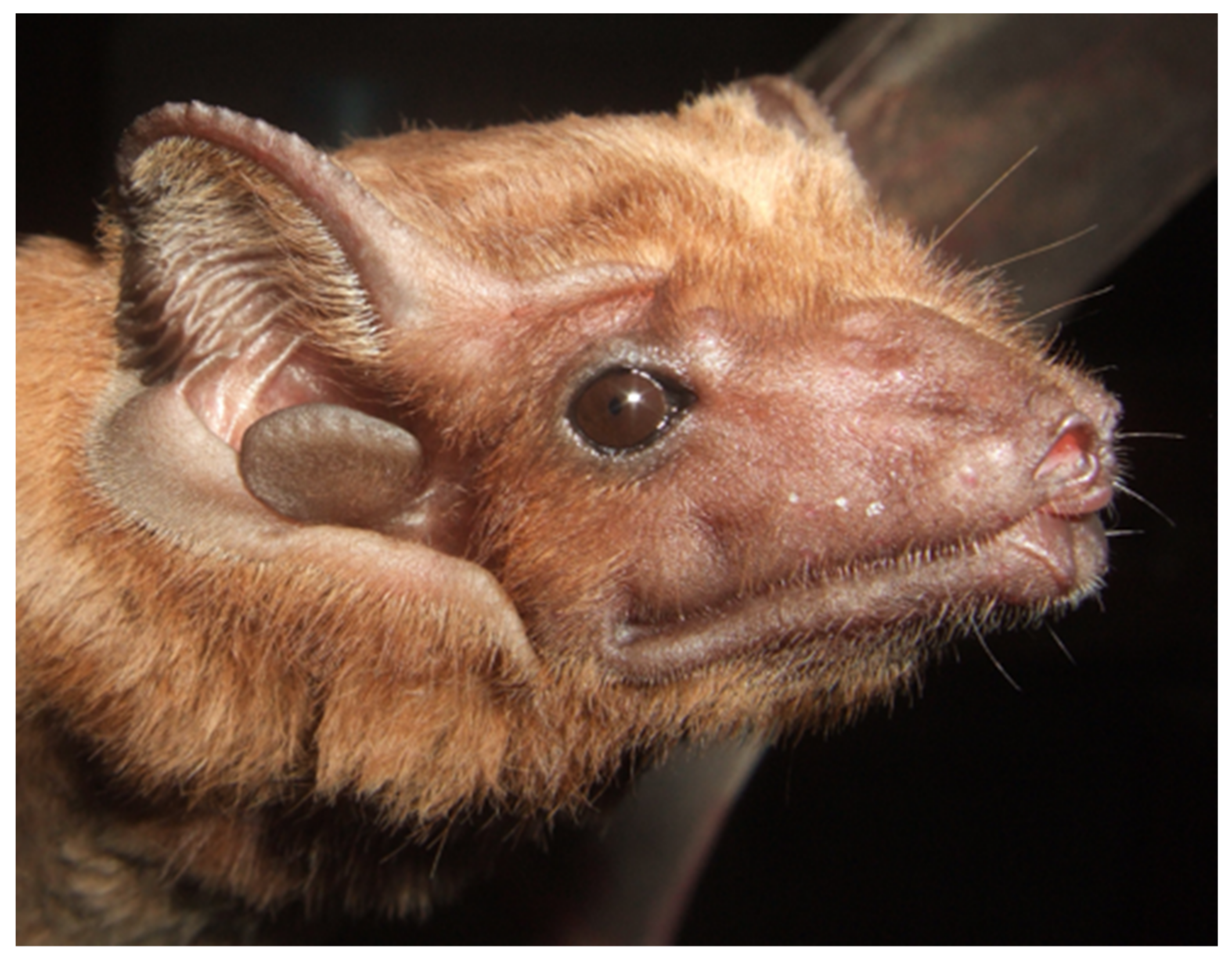 Diversity 14 00258 g009 550