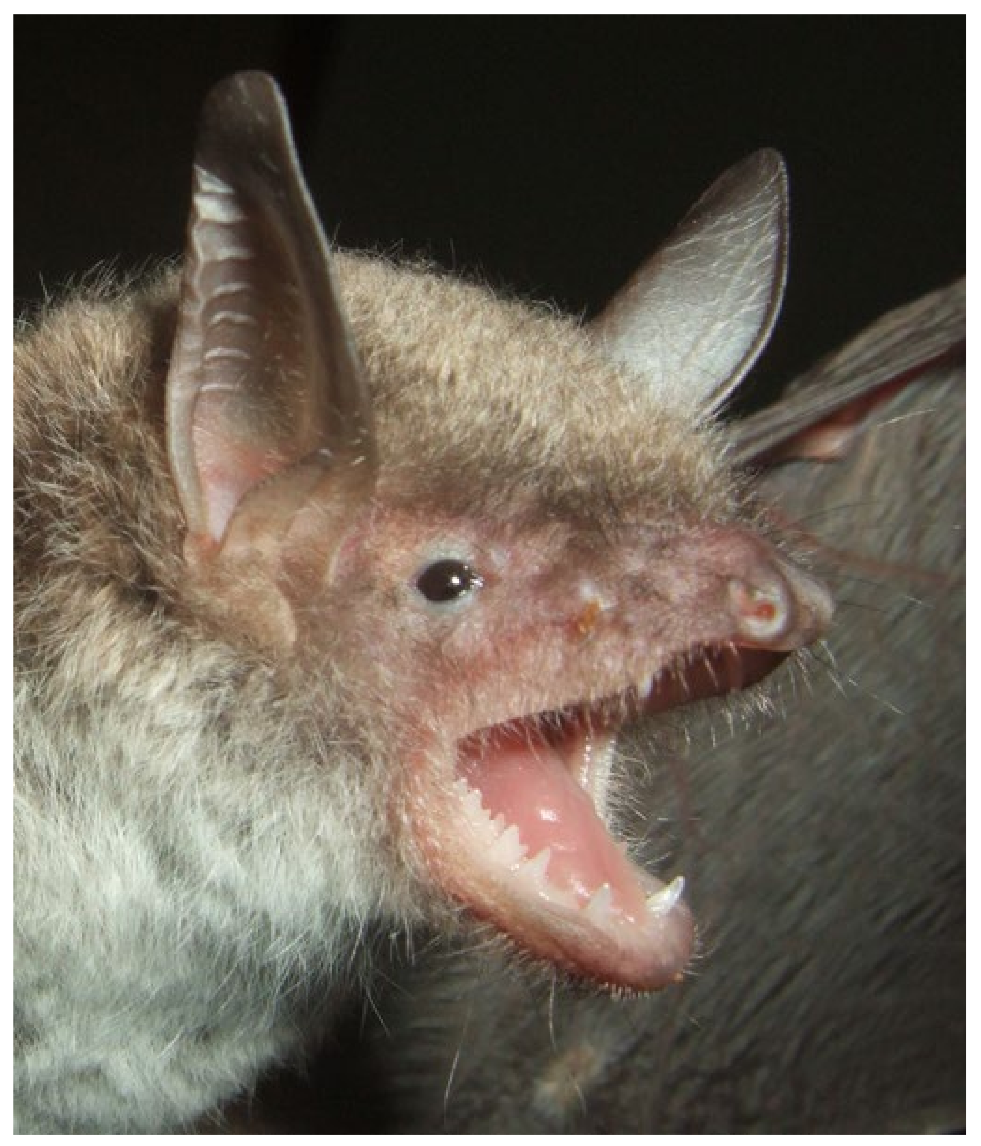 Diversity 14 00258 g010 550