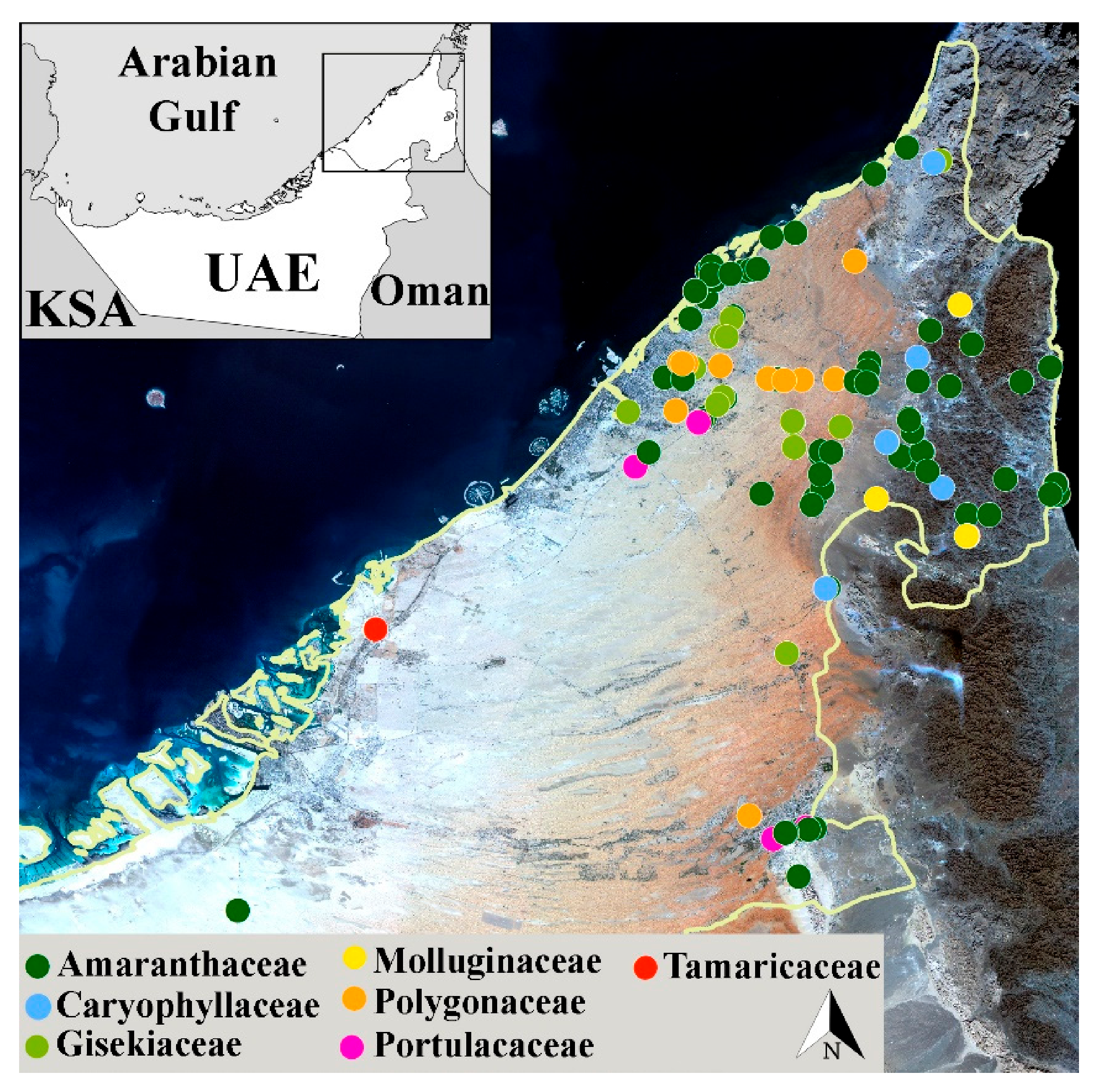 Diversity 14 00262 g001 Diversity 14 00262 g001