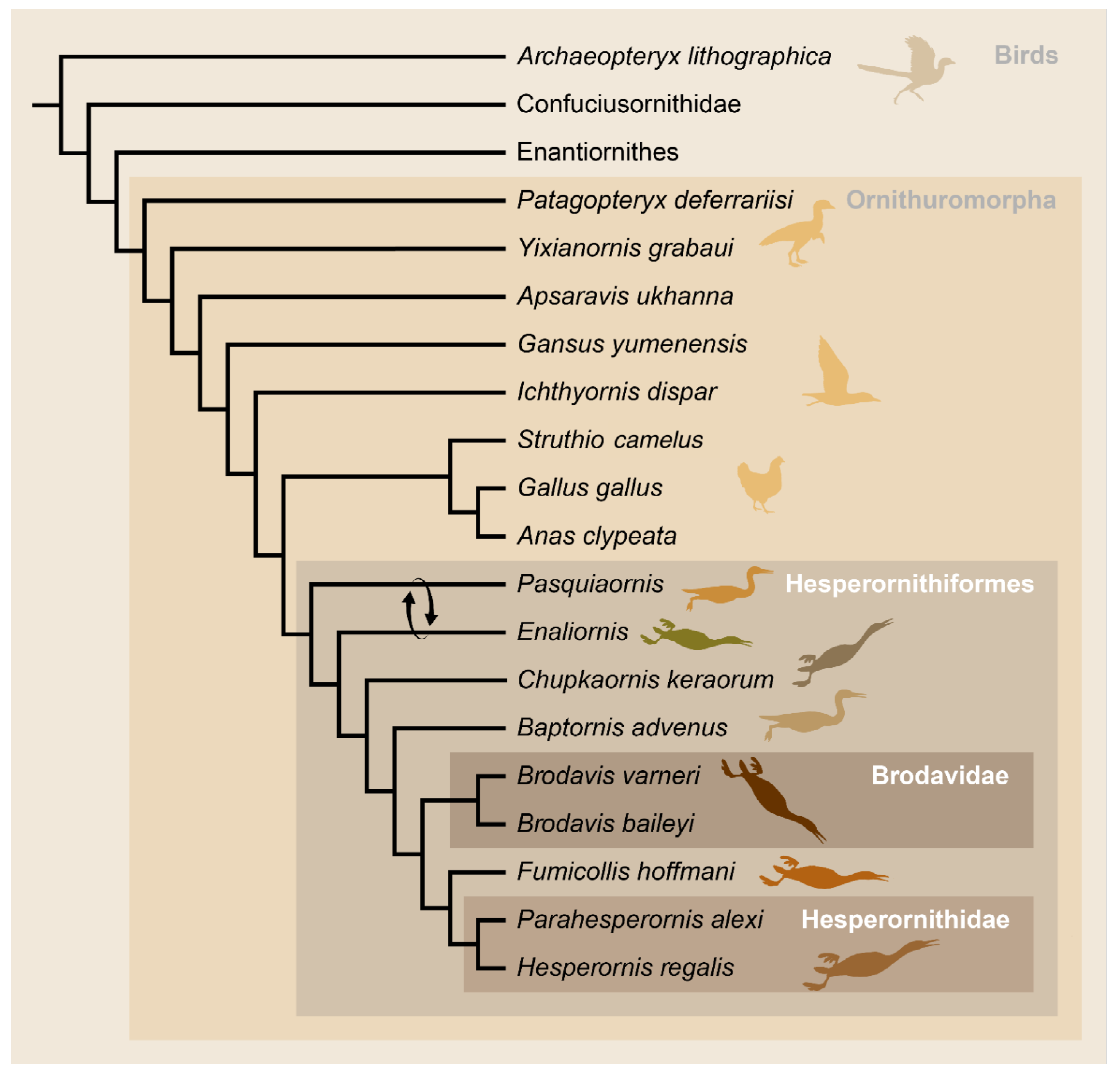 Diversity 14 00267 g001