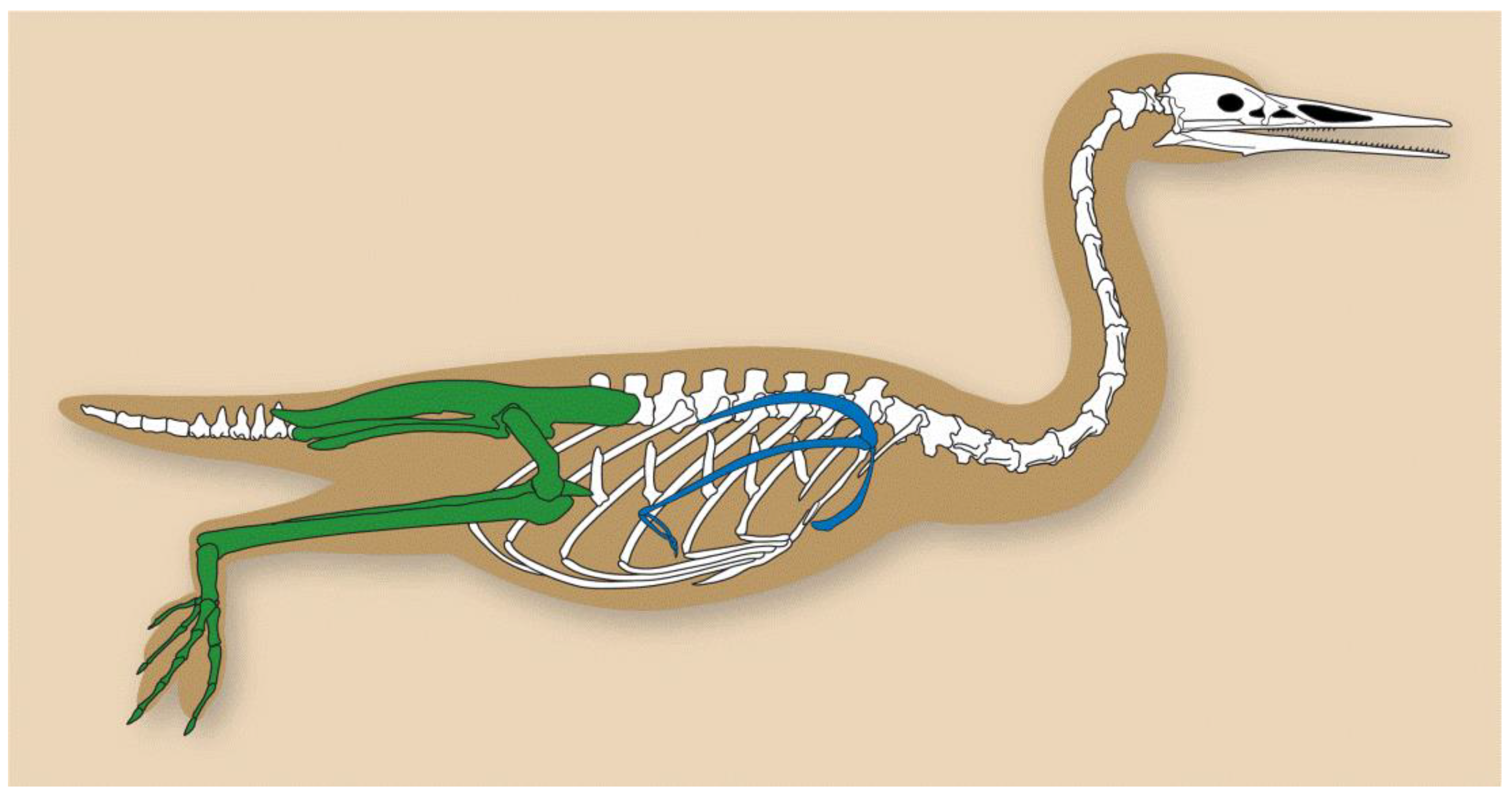 Diversity 14 00267 g003