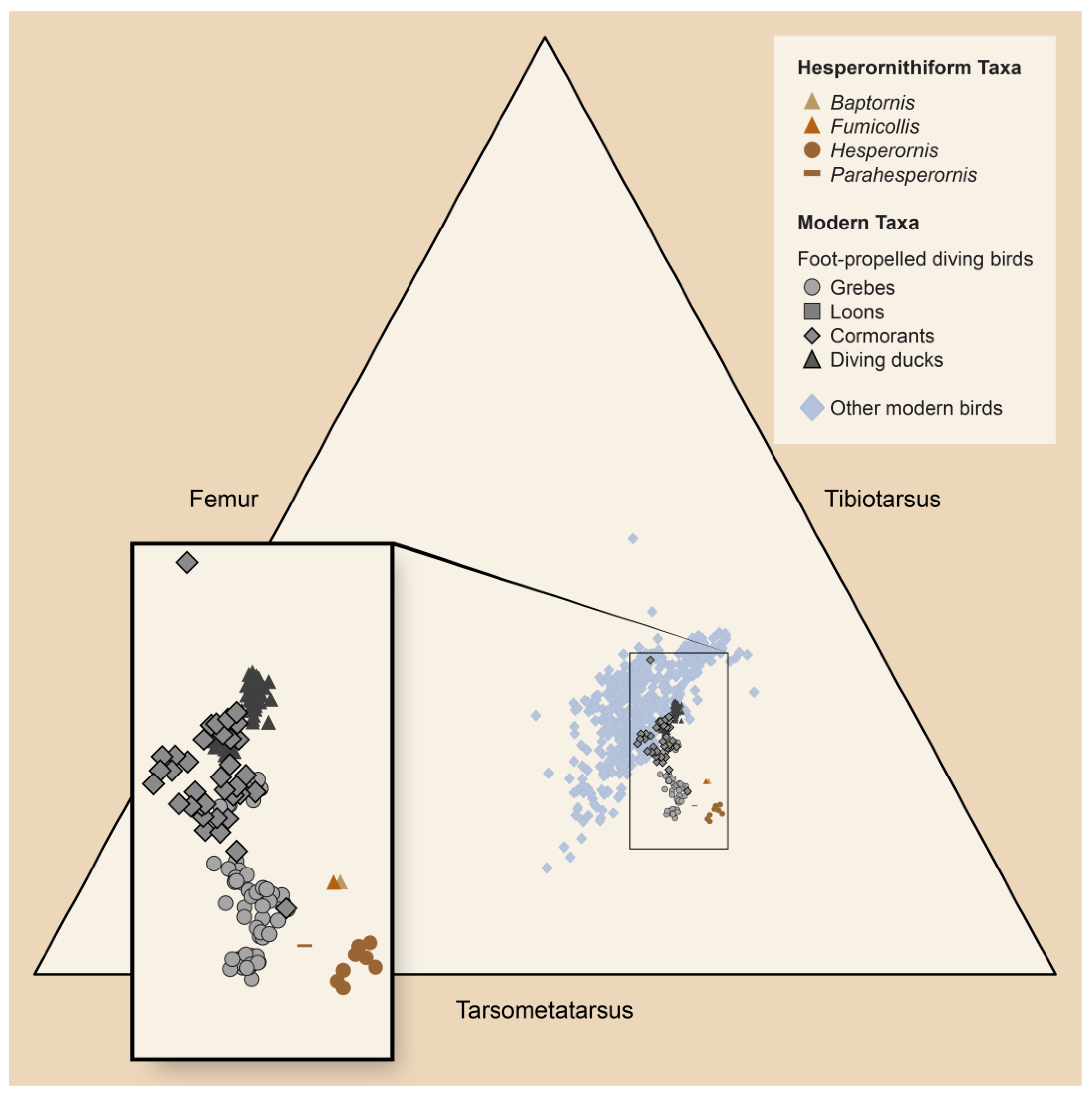 Diversity 14 00267 g006
