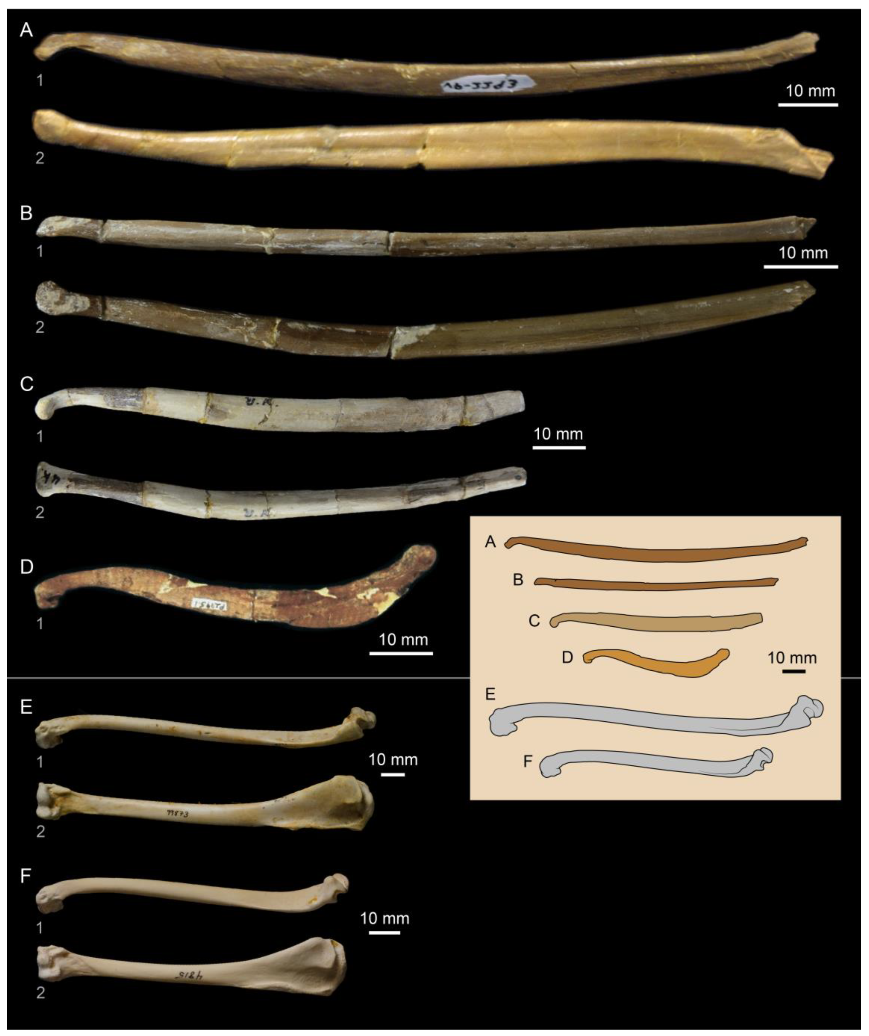 Diversity 14 00267 g007