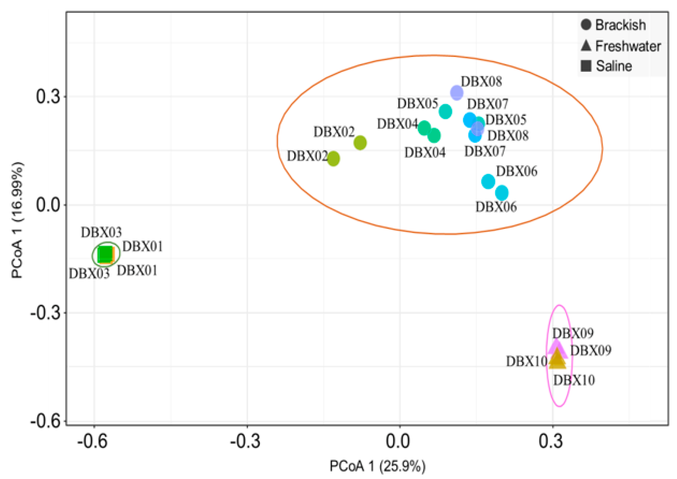 Diversity 14 00269 g003