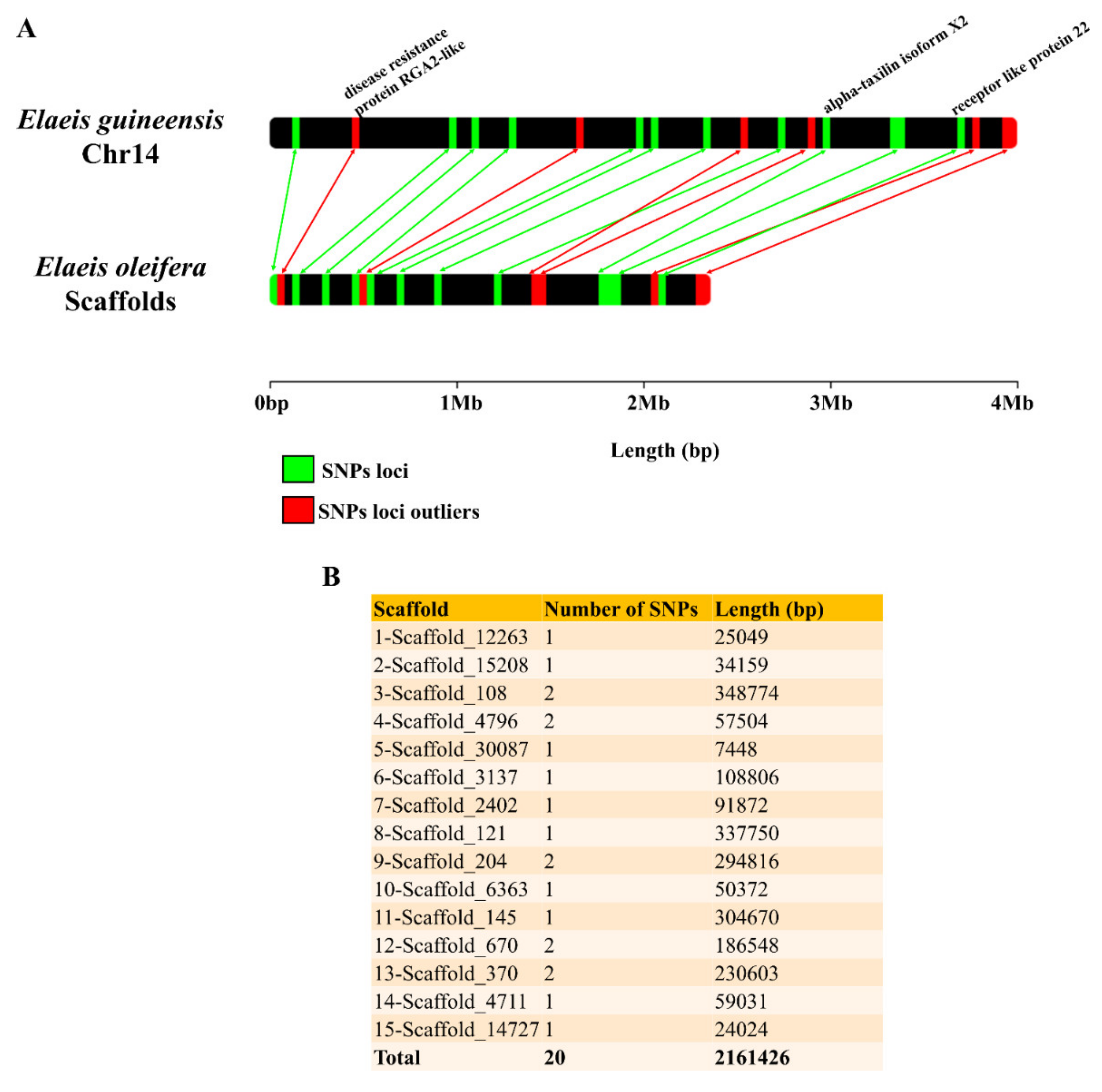 Diversity 14 00270 g003