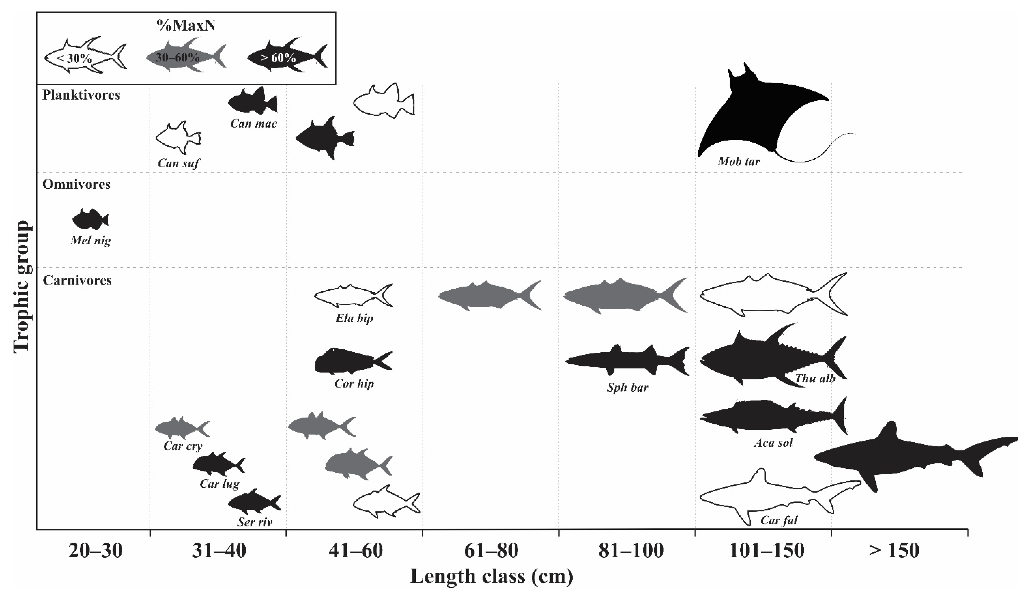 Diversity 14 00273 g002 Diversity 14 00273 g002