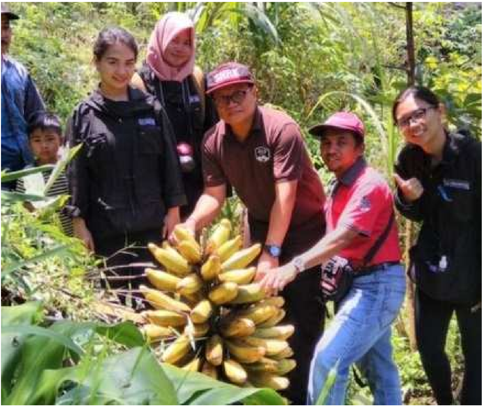 Diversity 14 00277 g006 550