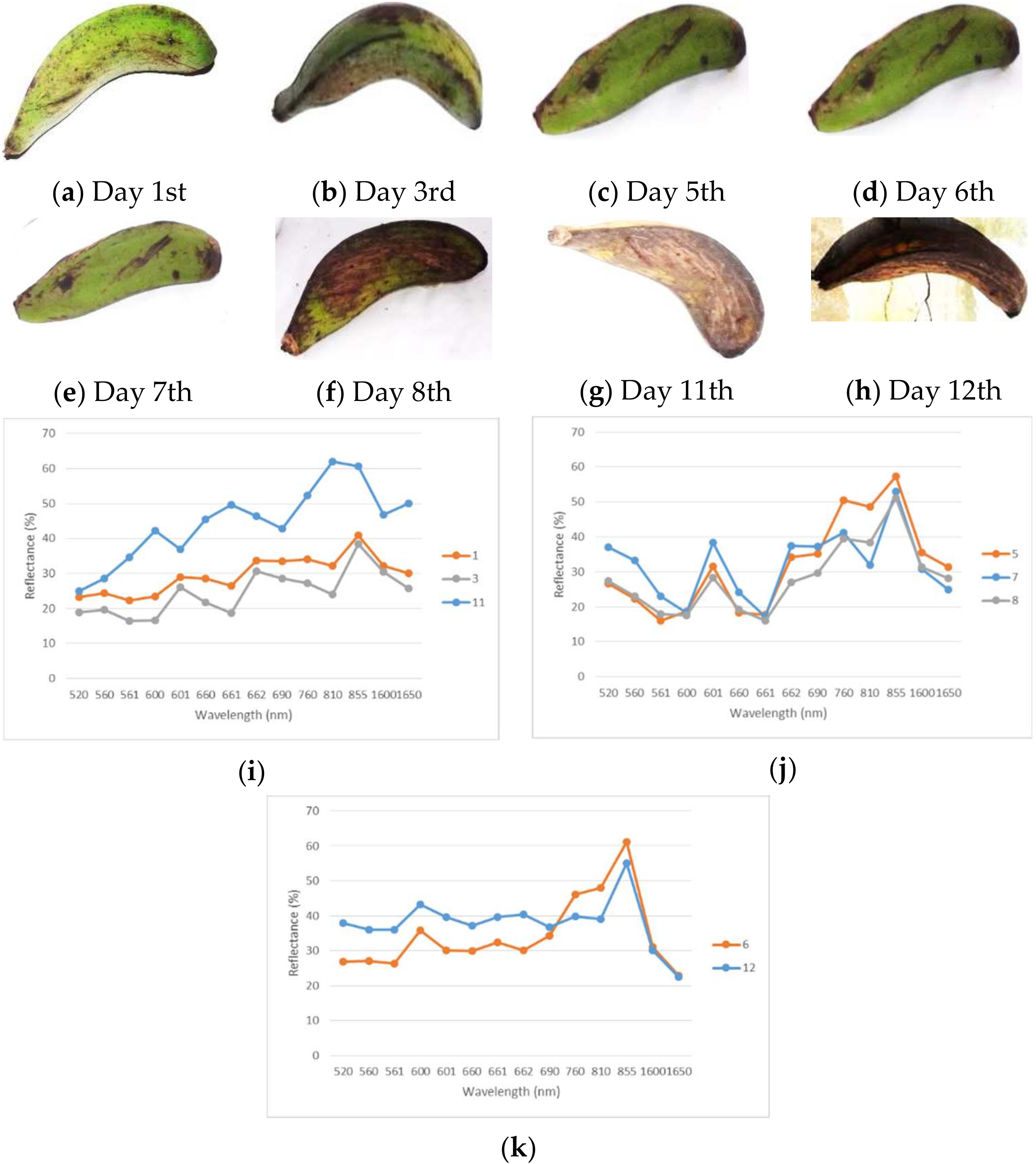 Diversity 14 00277 g008 550