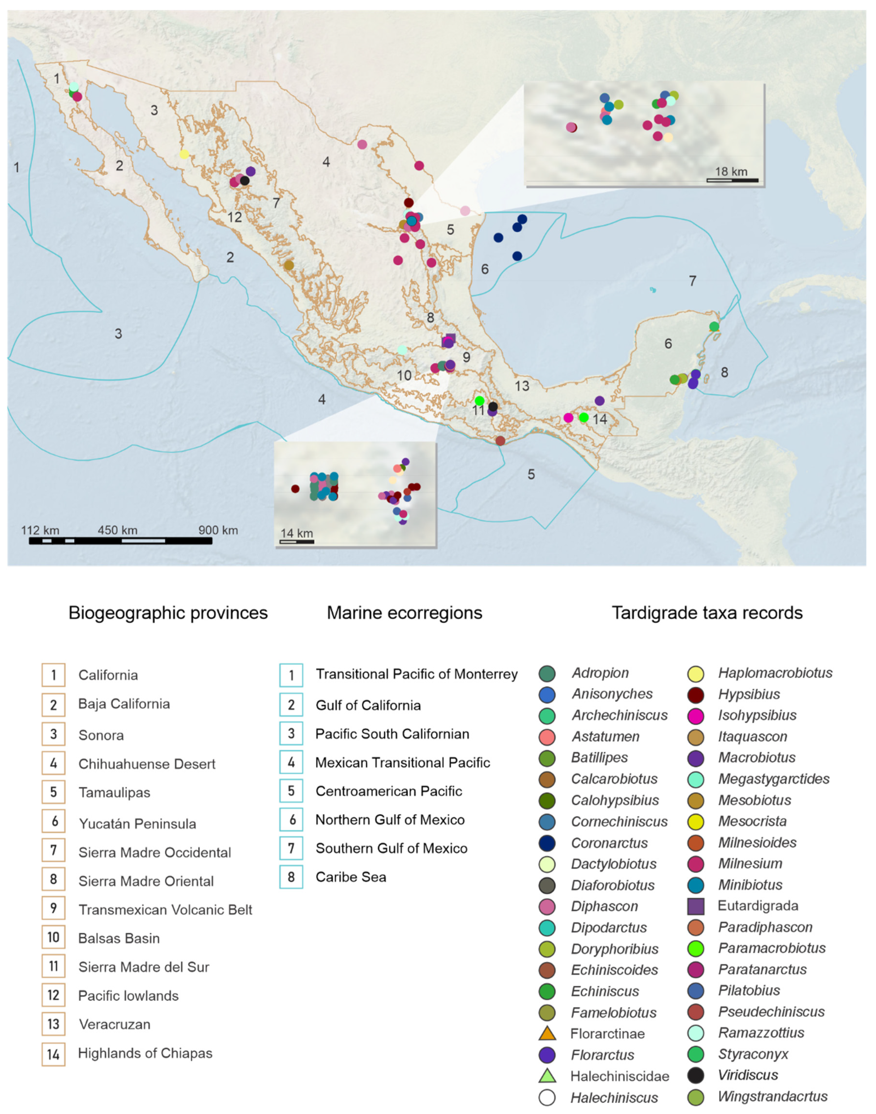 Diversity | Free Full-Text | A Strategy to Provide a Present and Future Scenario of Mexican Biodiversity of Tardigrada