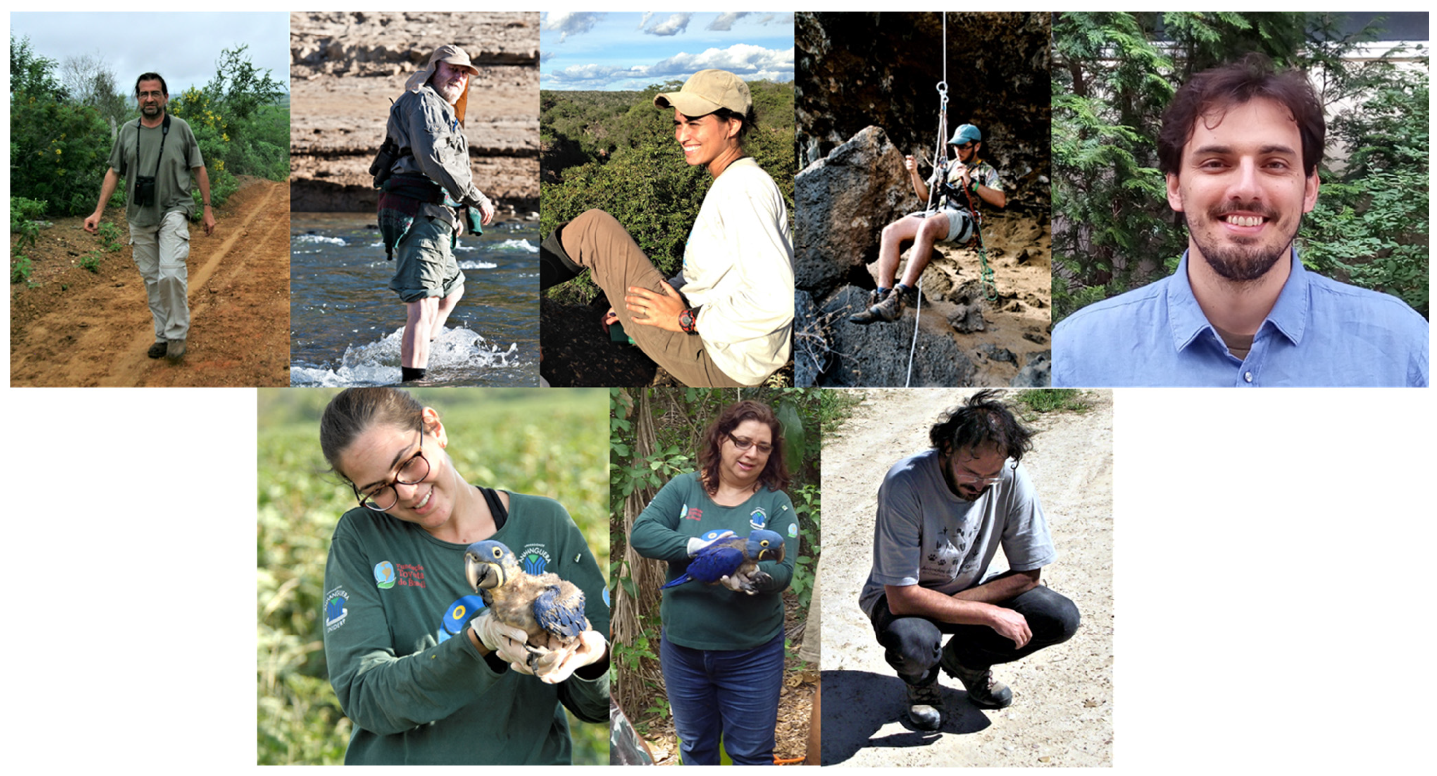 Diversity 14 00281 g004 550