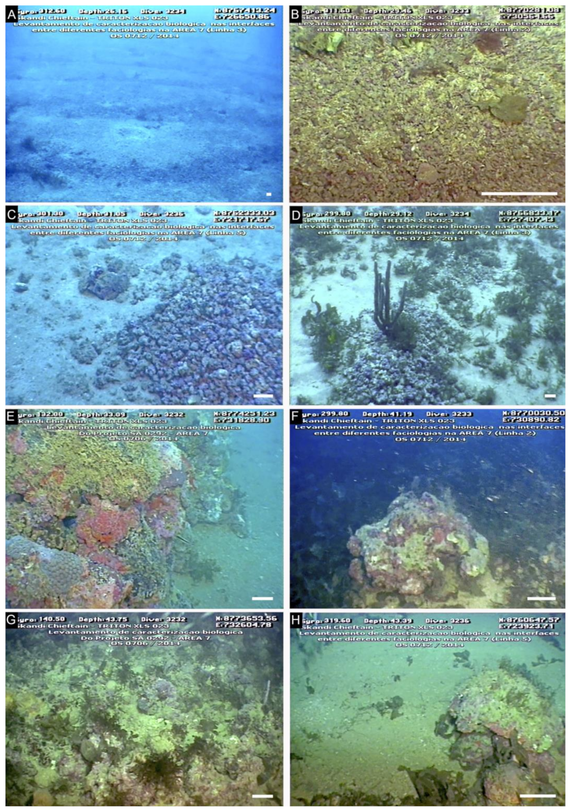 Diversity 14 00282 g002 Diversity 14 00282 g002