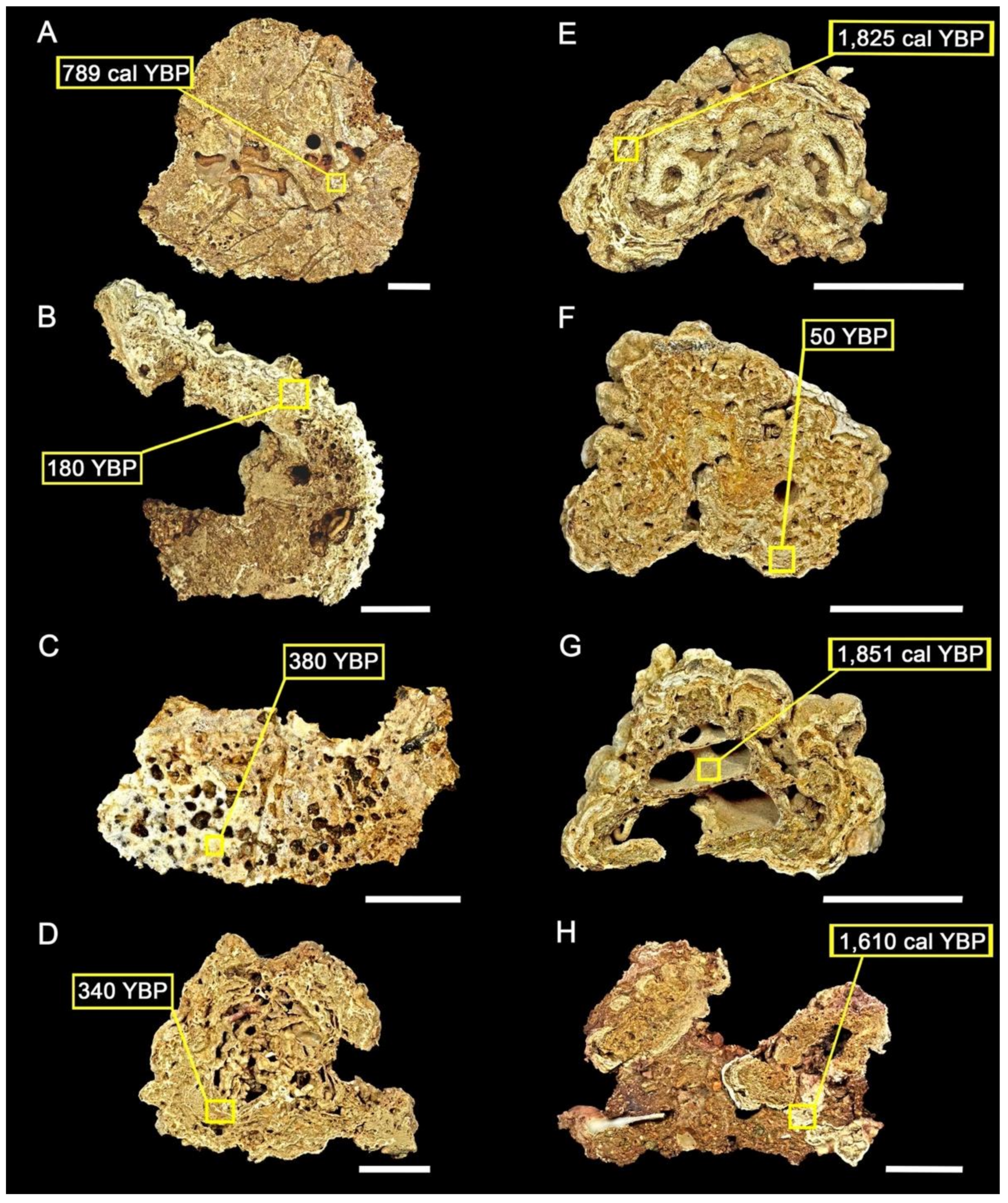 Diversity 14 00282 g007 Diversity 14 00282 g007