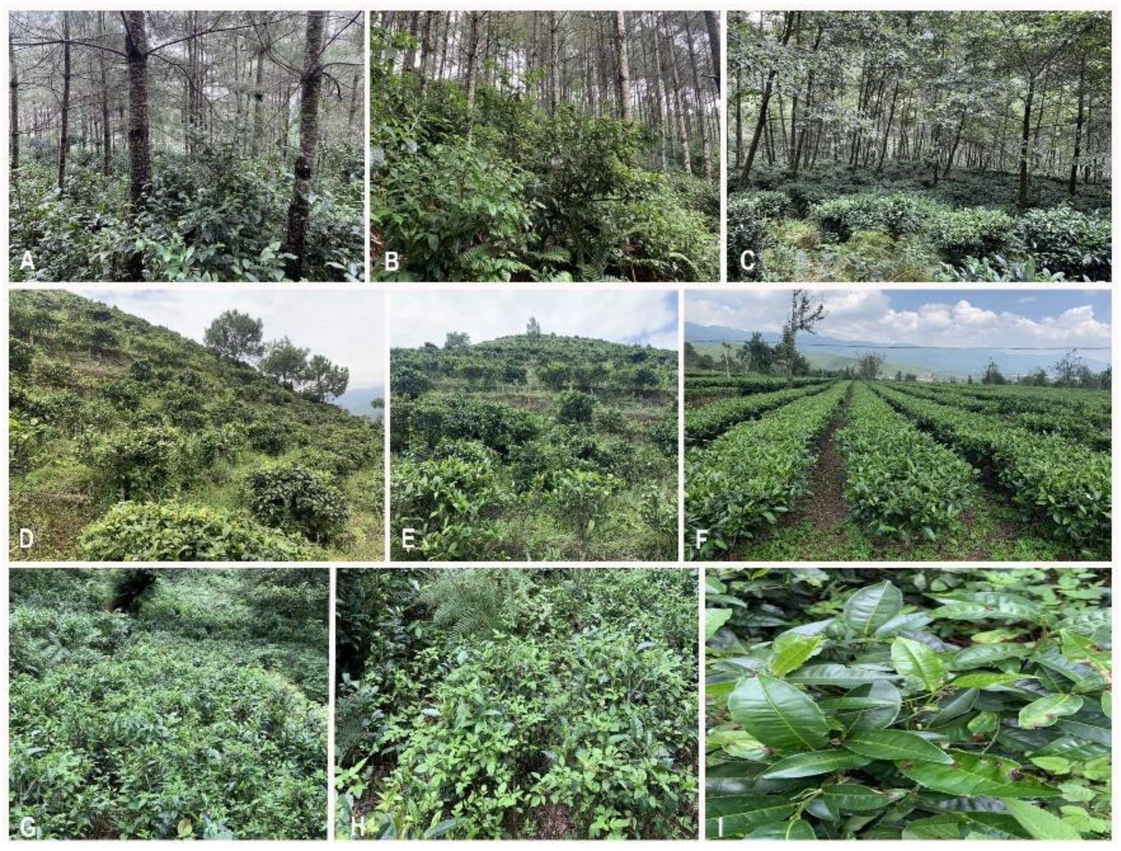 Diversity 14 00287 g001 Diversity 14 00287 g001