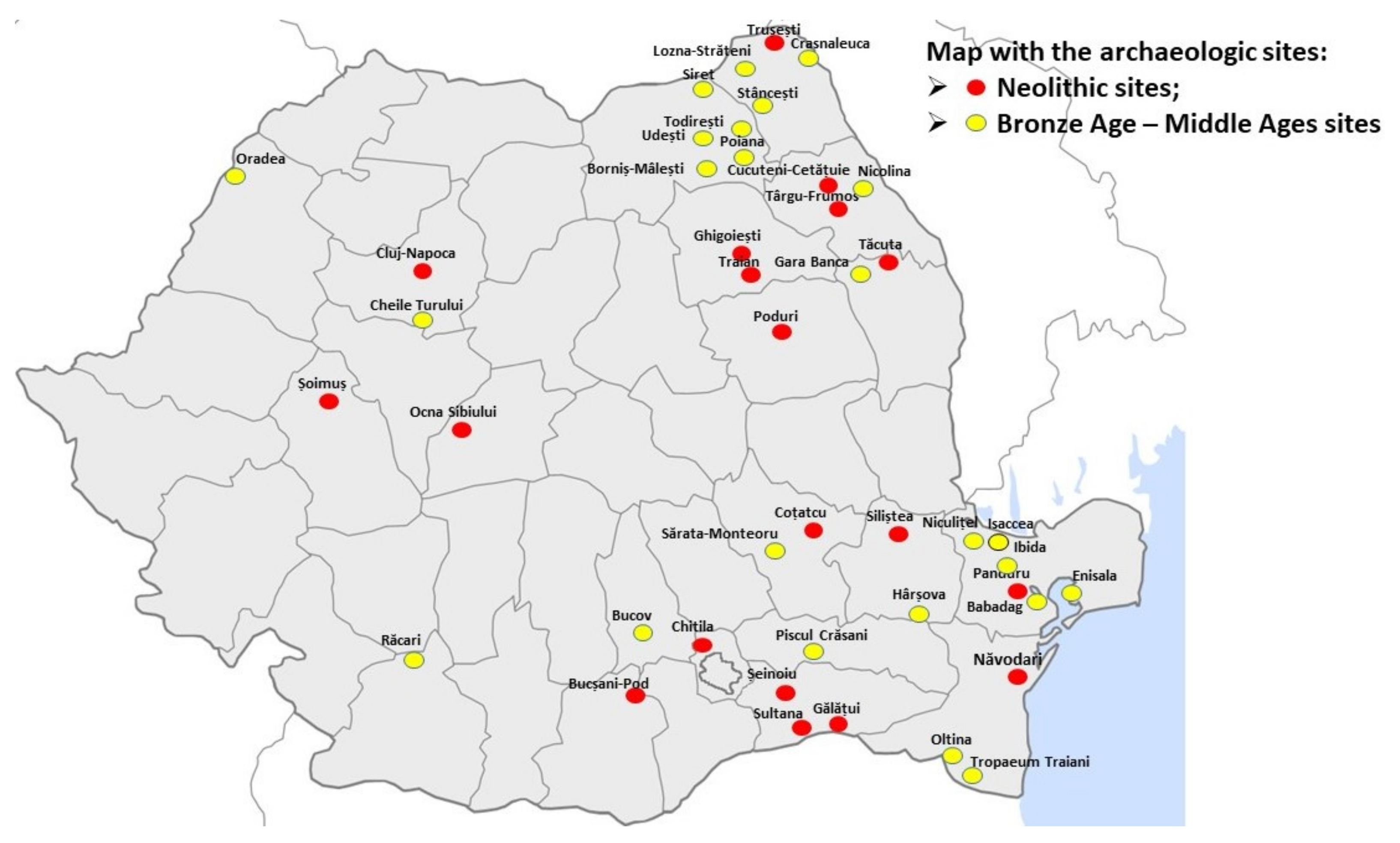 Diversity 14 00288 g001 550