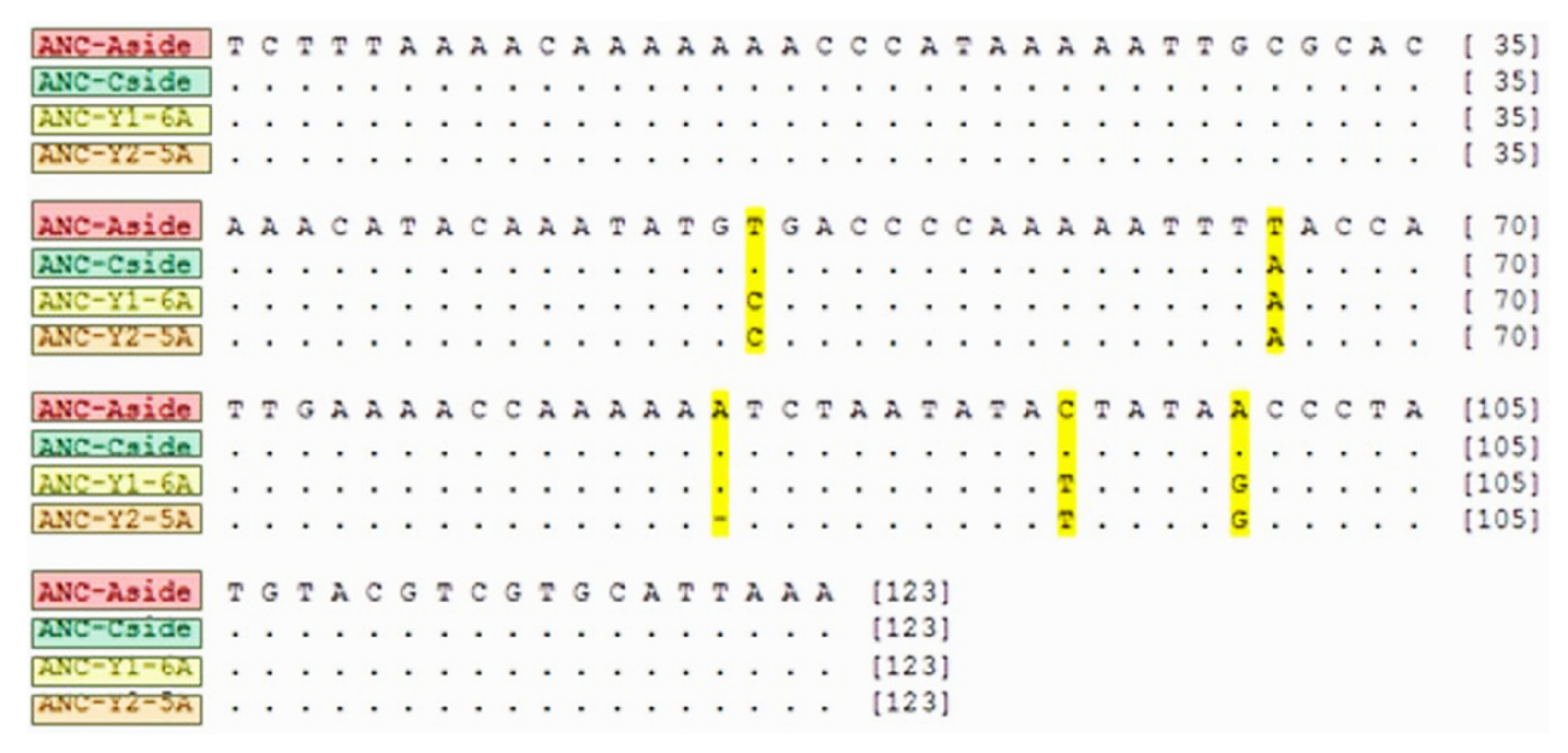 Diversity 14 00288 g002 550