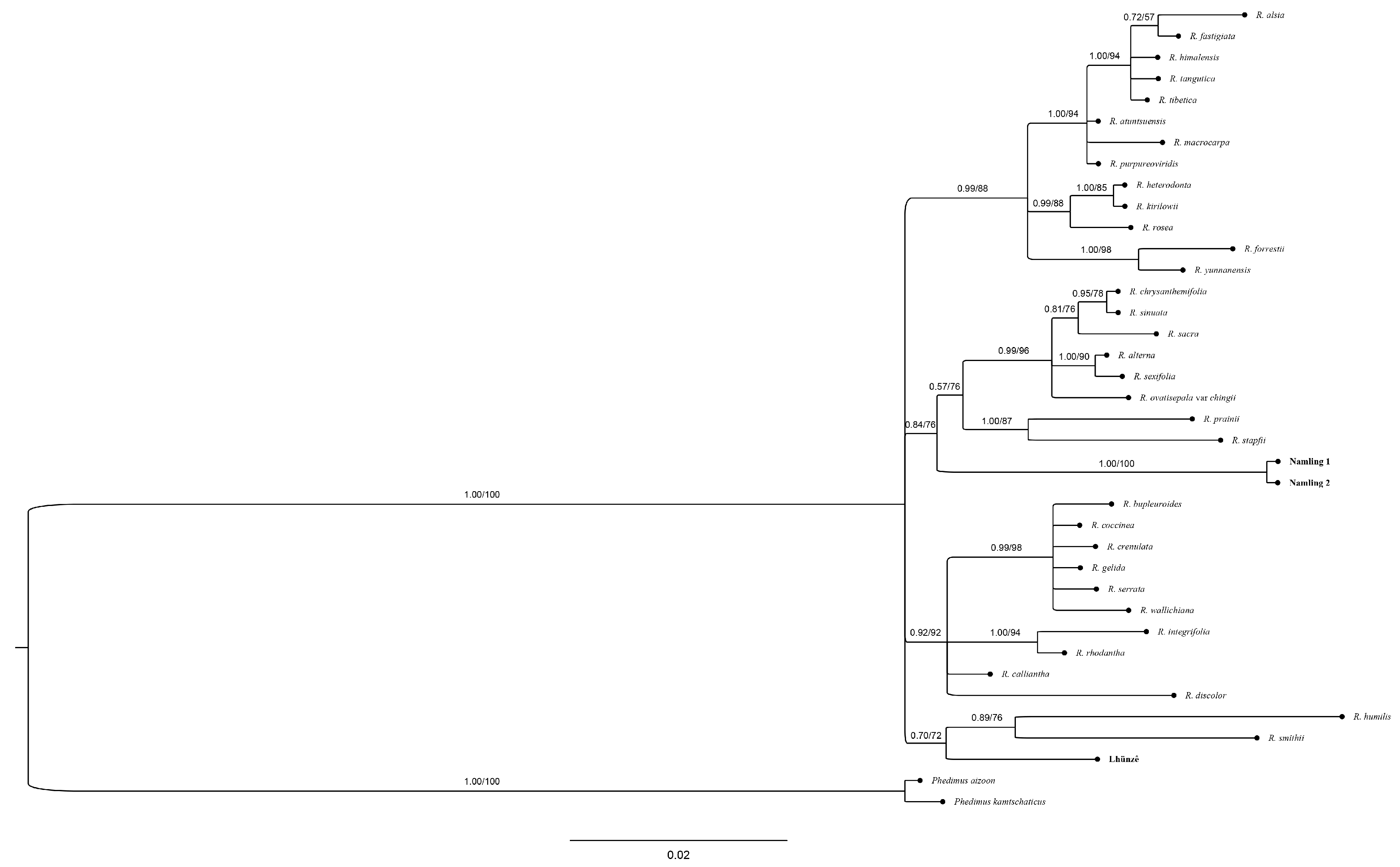 Diversity 14 00289 g003