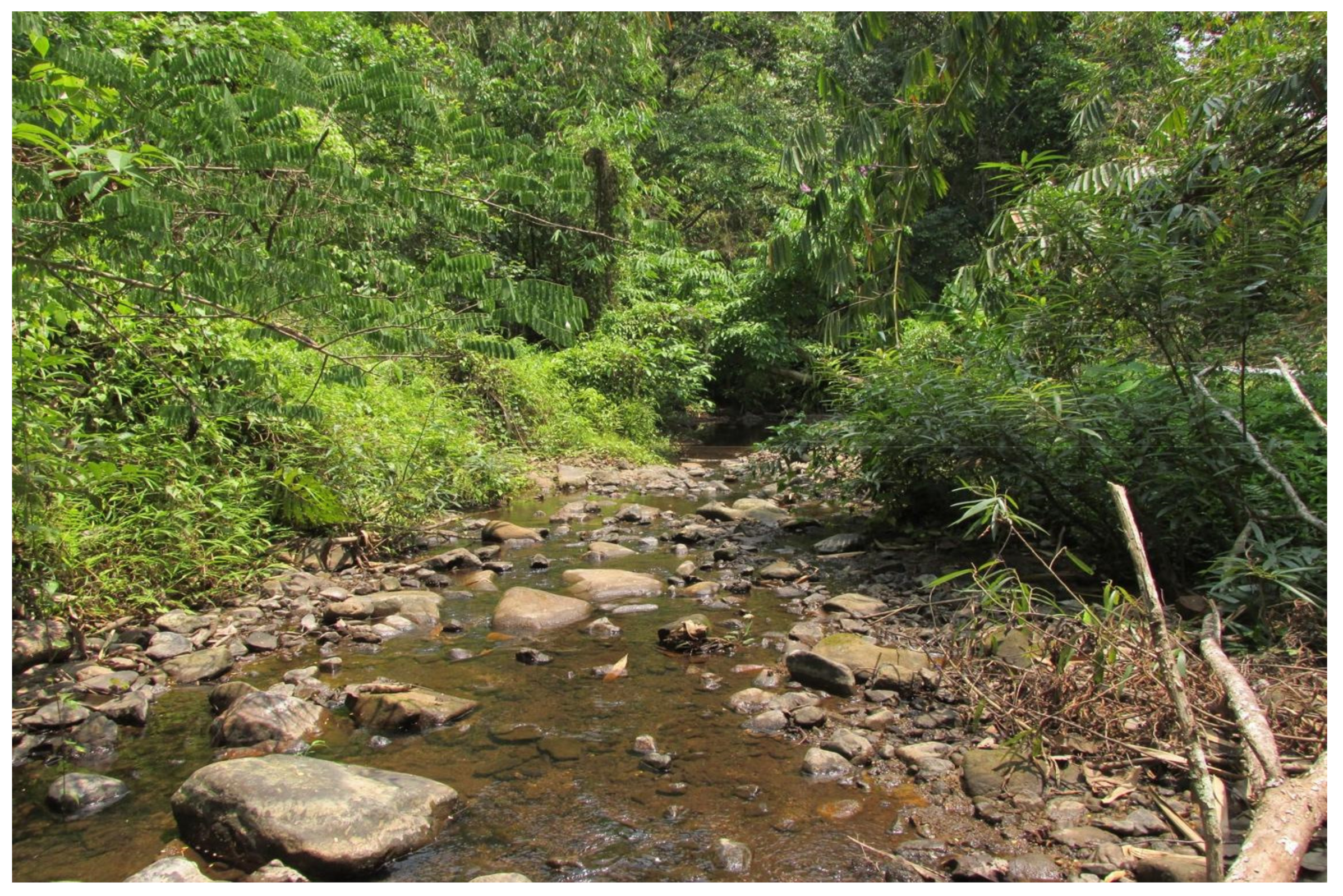 Diversity 14 00291 g002