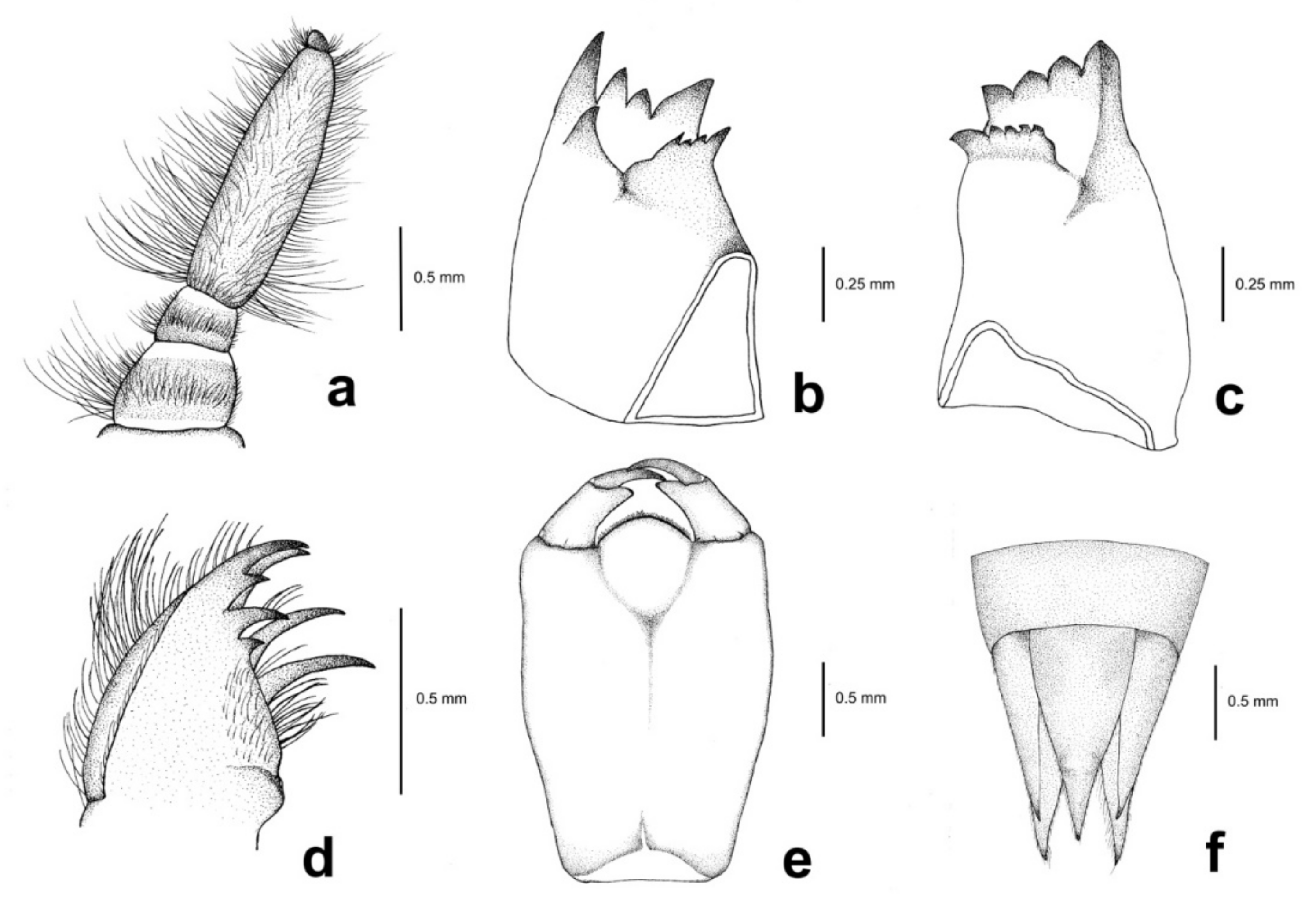 Diversity 14 00291 g005