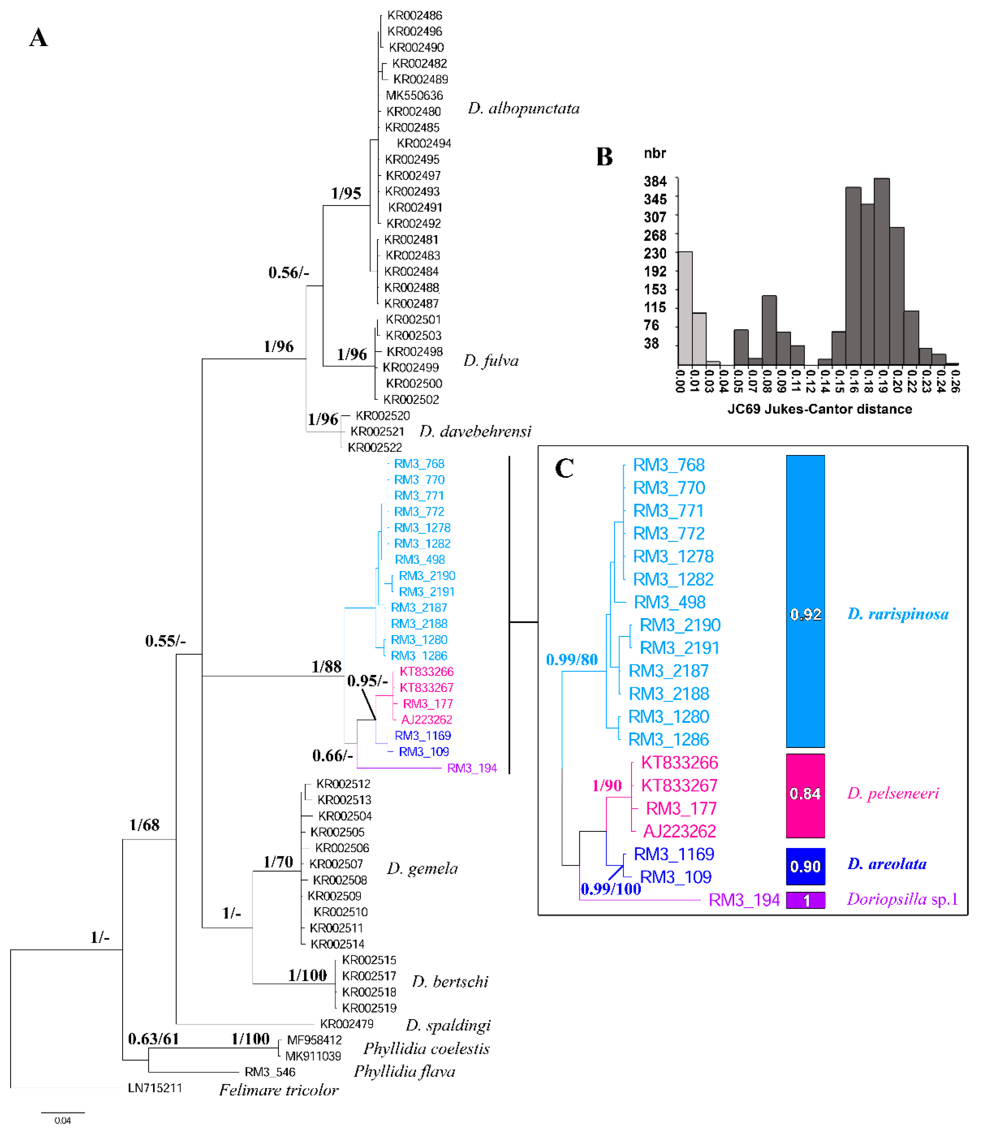 Diversity 14 00297 g001 Diversity 14 00297 g001