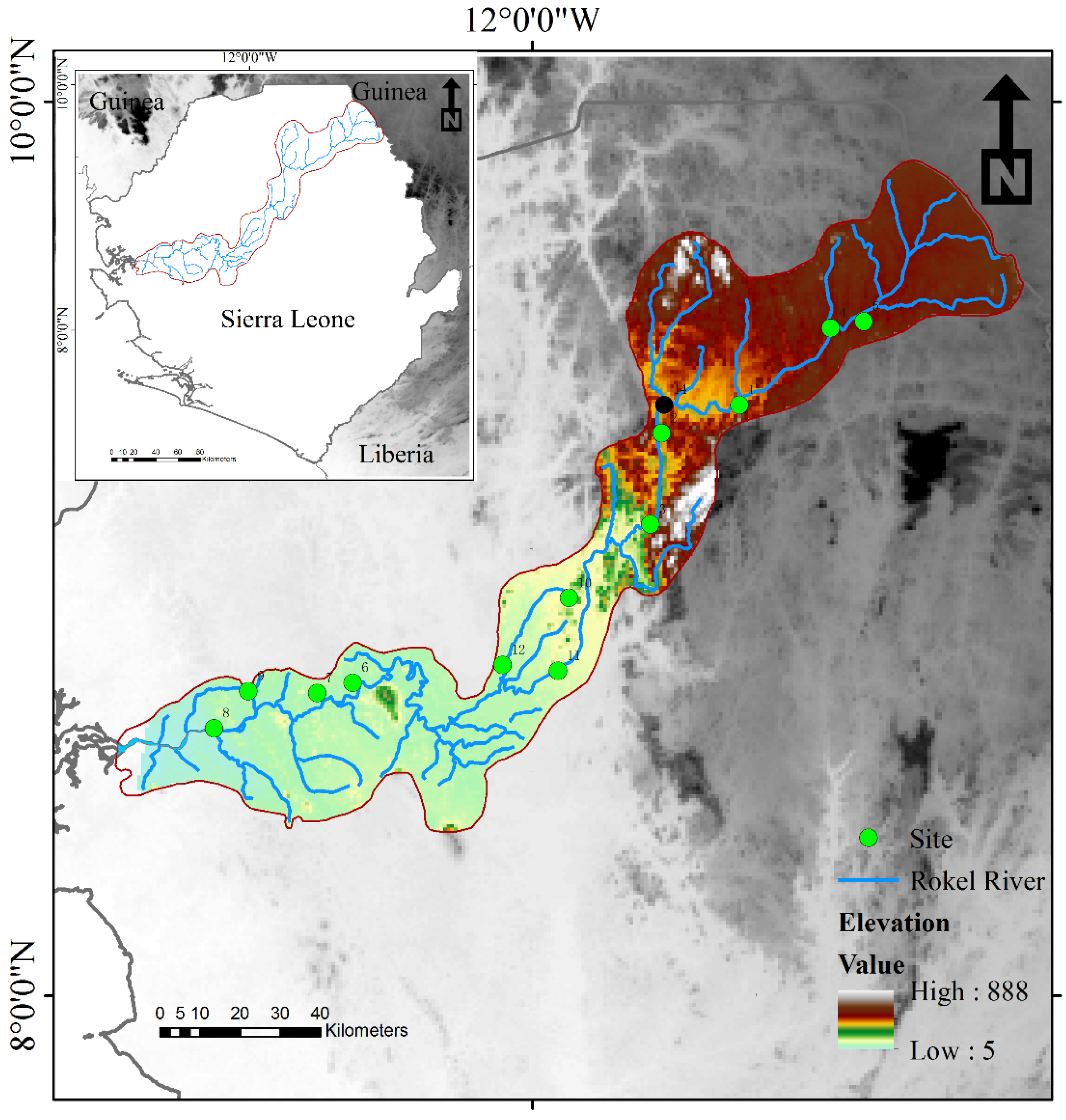 Diversity 14 00299 g001
