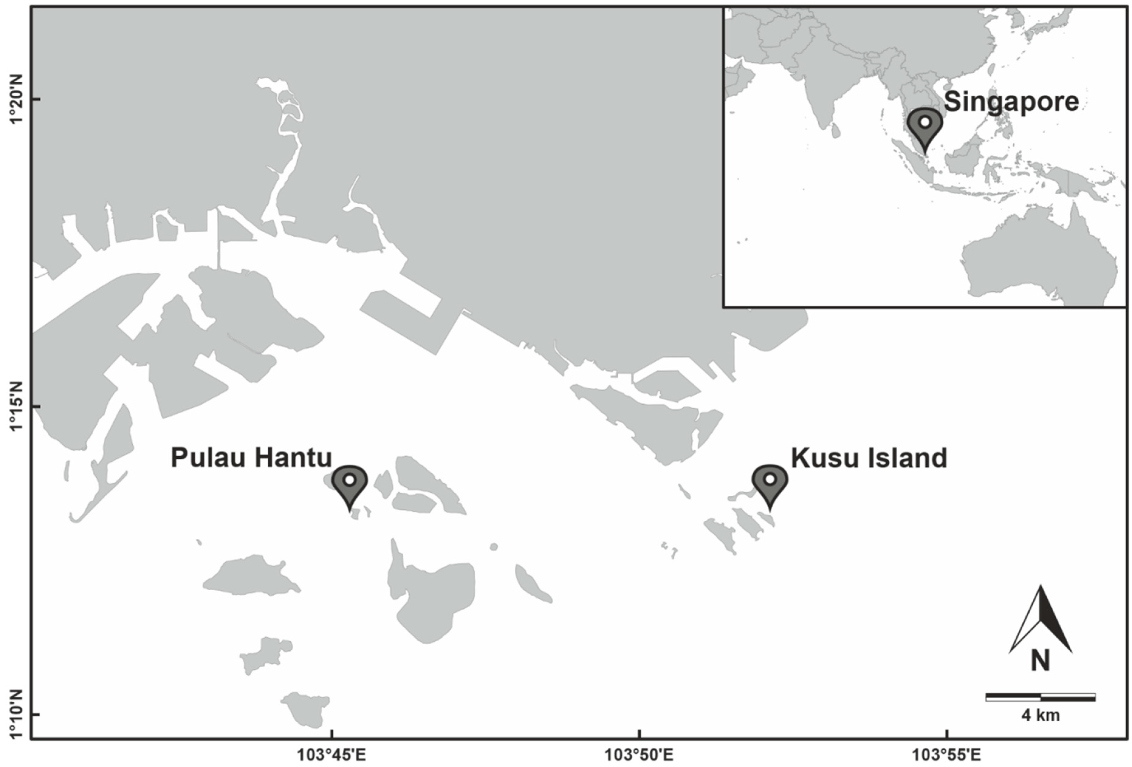 Diversity 14 00300 g001 Diversity 14 00300 g001