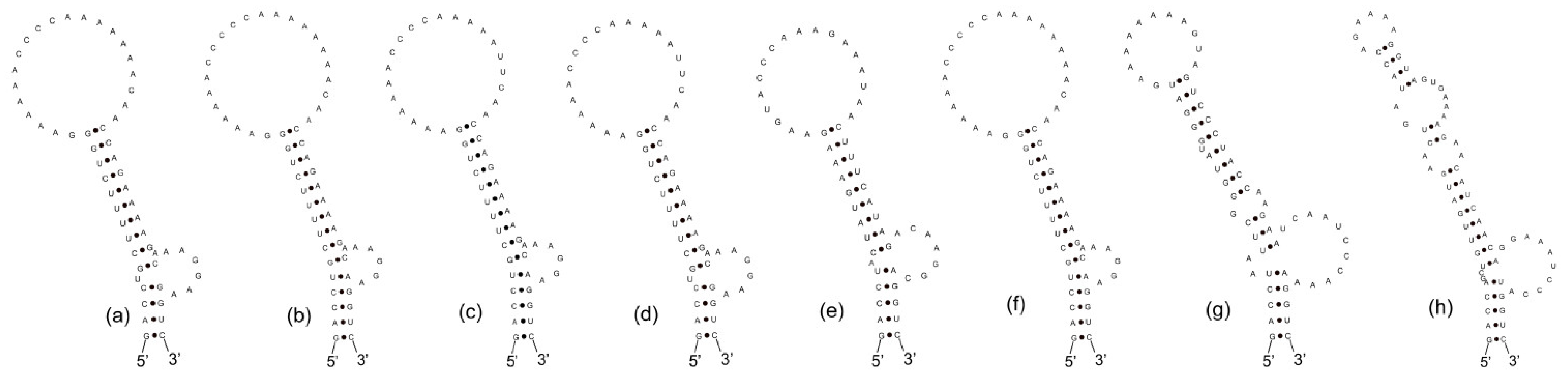 Diversity 14 00301 g006