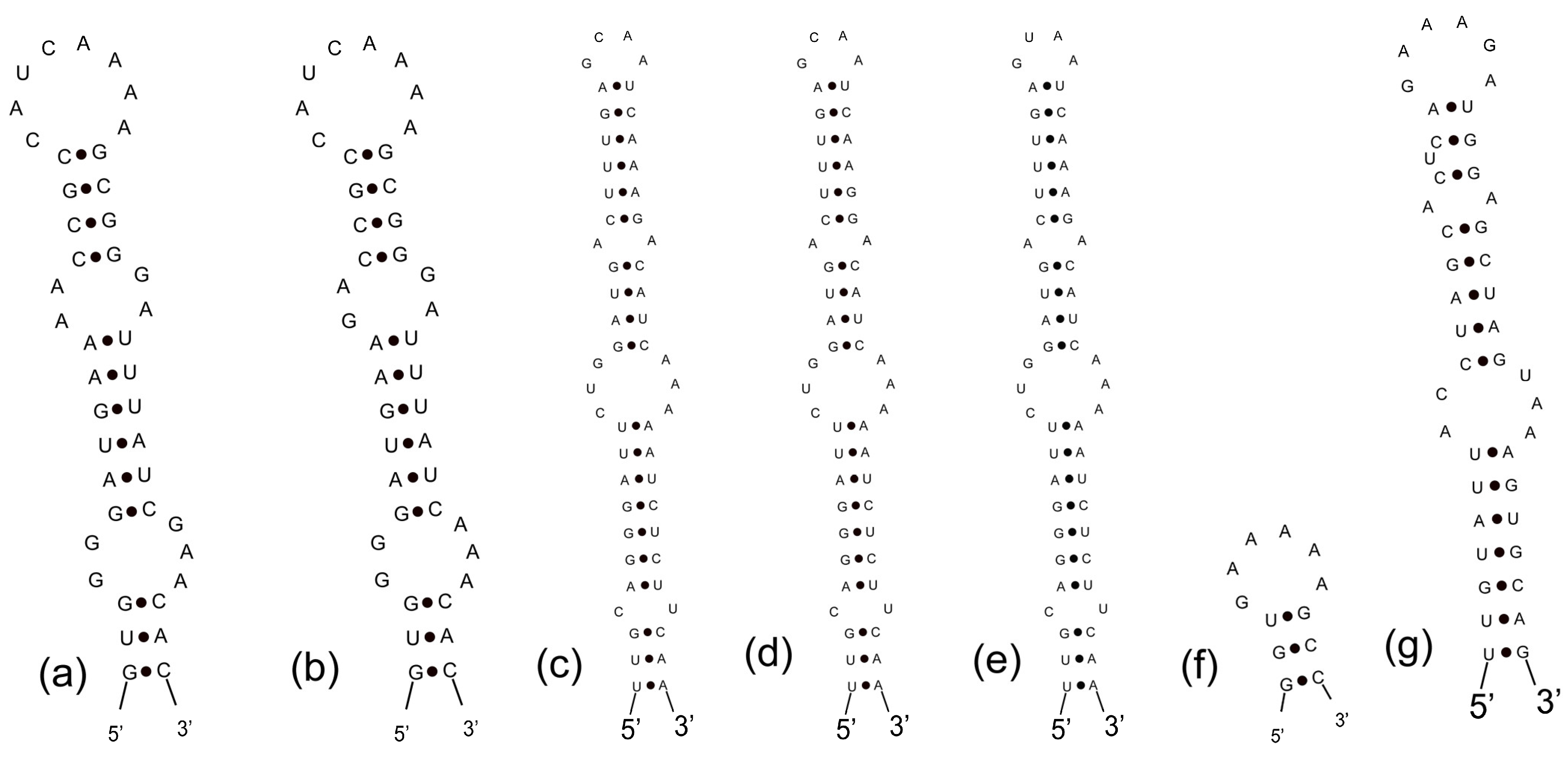 Diversity 14 00301 g008
